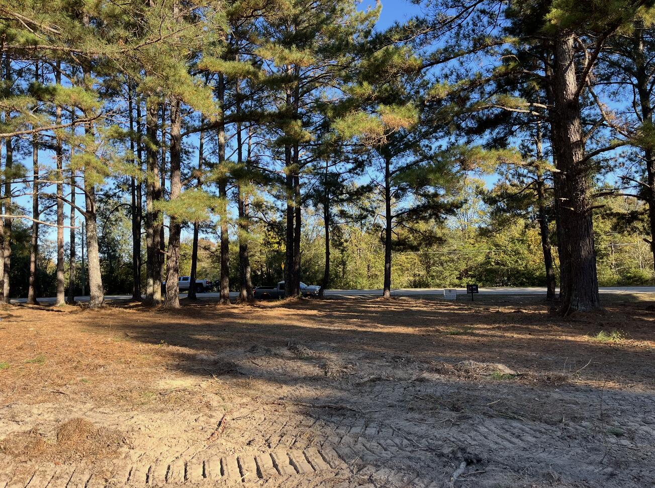 135 Beagle Chase Drive, Appling, GA, 30802