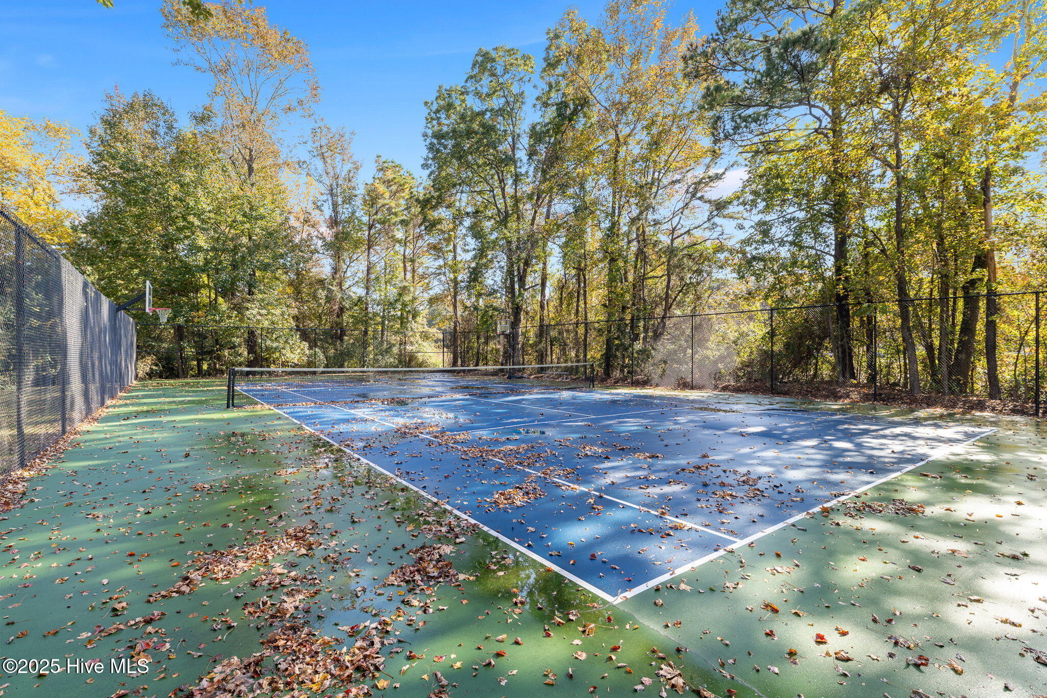 100539672 | Photo 36