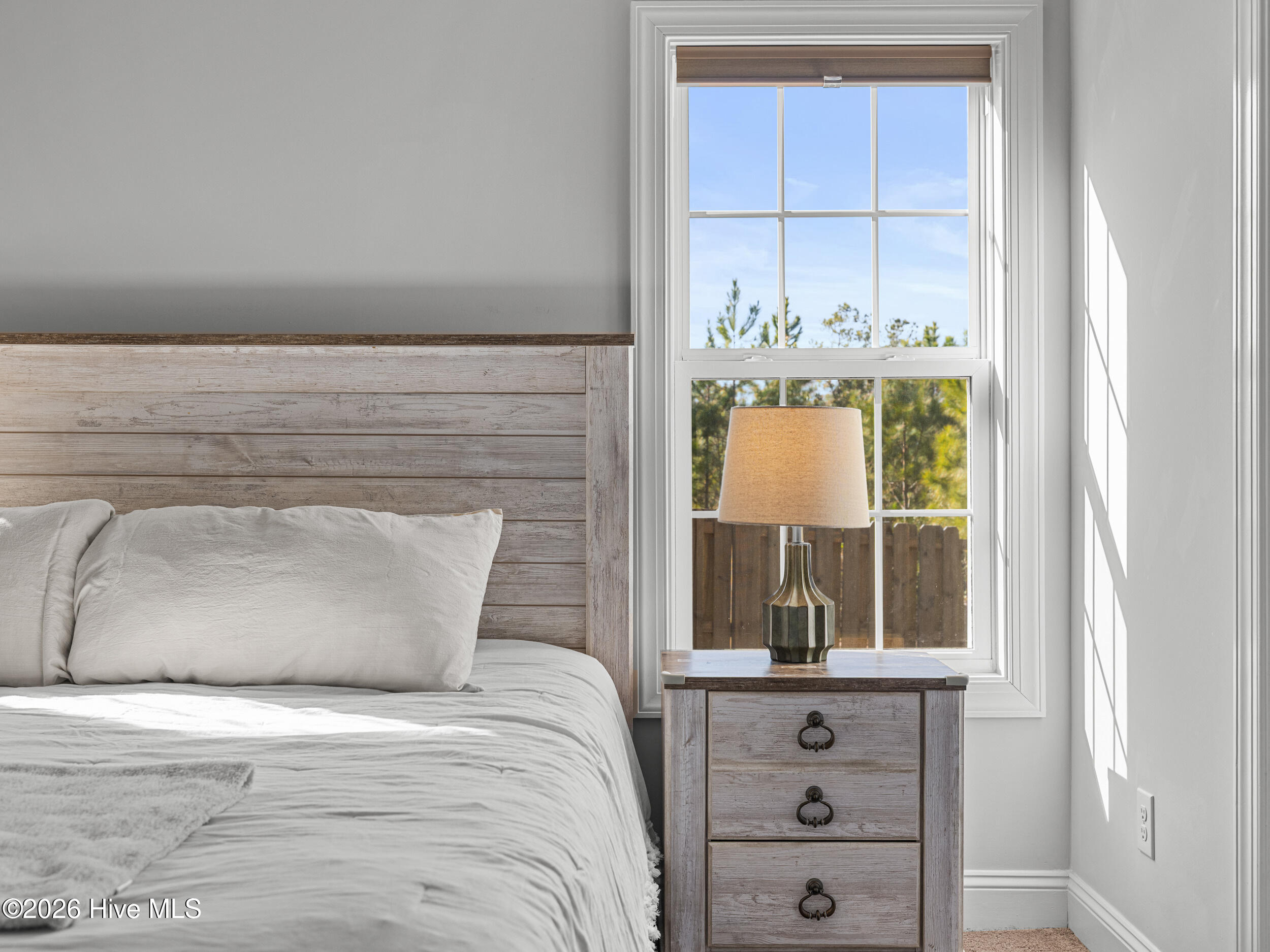 100553436 | Photo 28