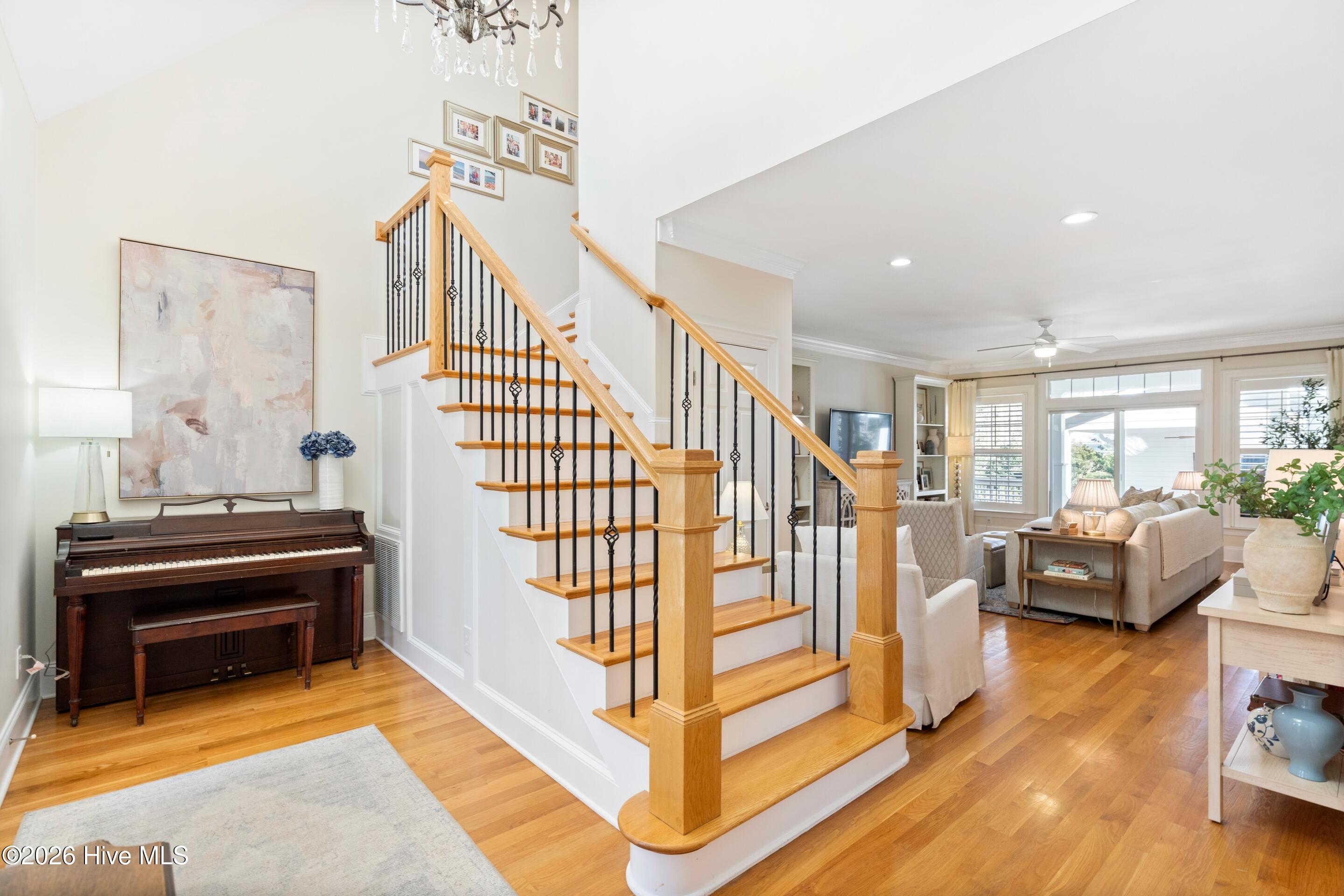 100549669 | Photo 12