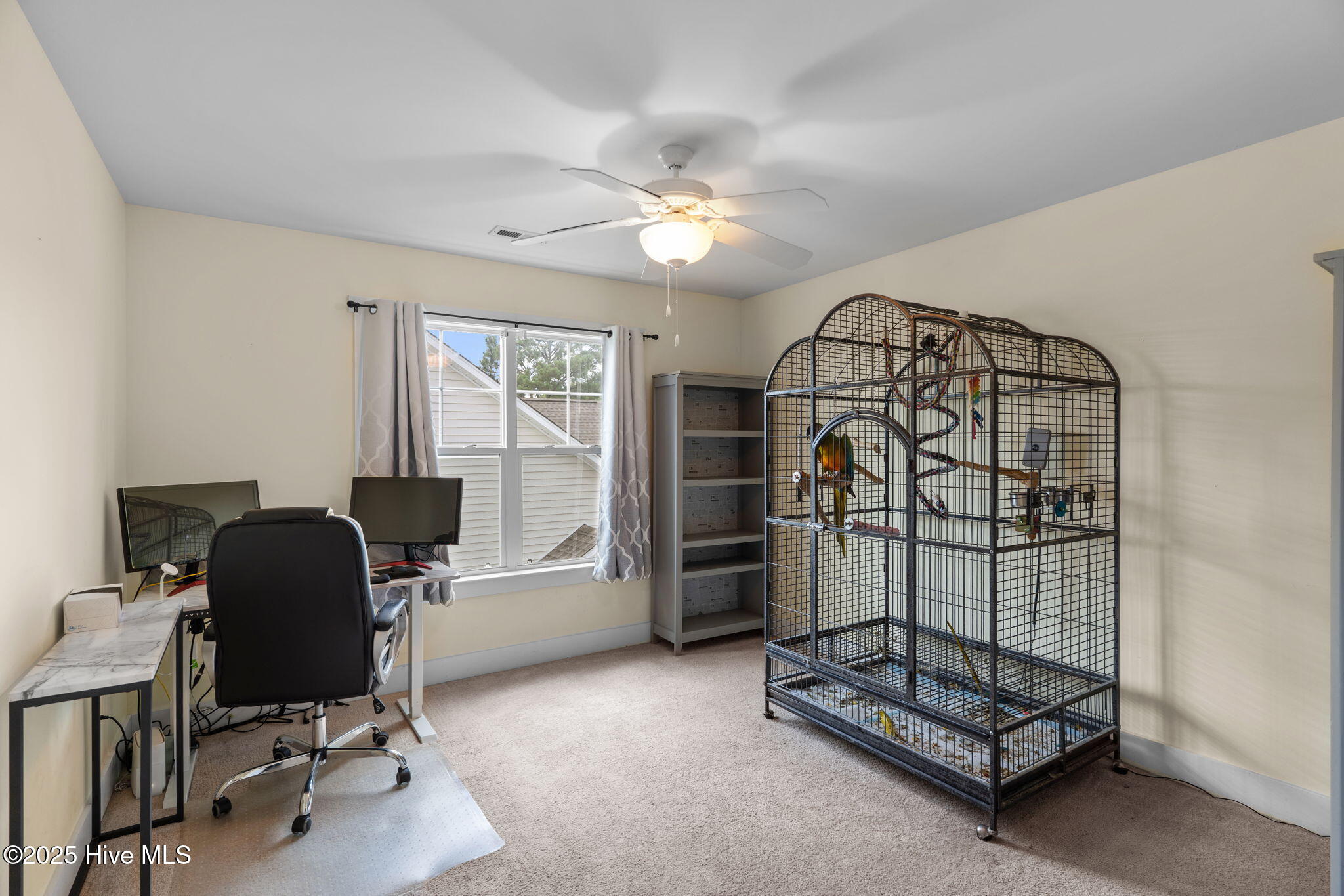 100519611 | Photo 47