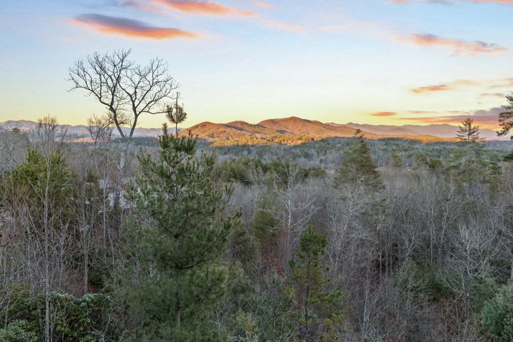 455 Point Overlook Trail, Murphy, NC 28906 Listing Photo  55