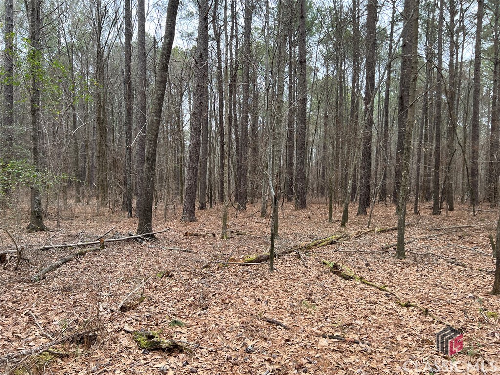Homes for sale in Watkinsville, GA | Lot B Salem Rd, Watkinsville, GA 30677 | MLS# CM1025799