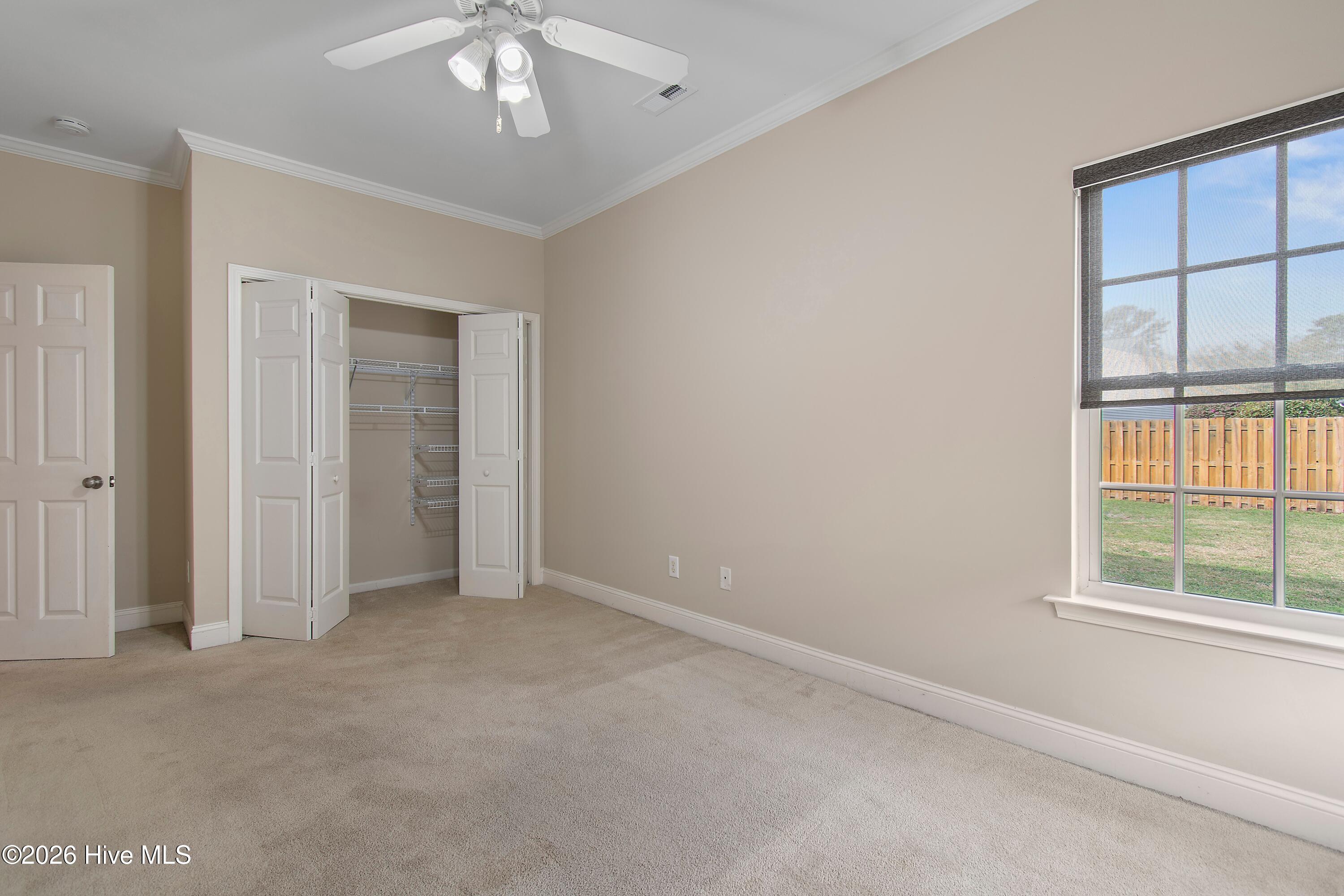 100562545 | Photo 33