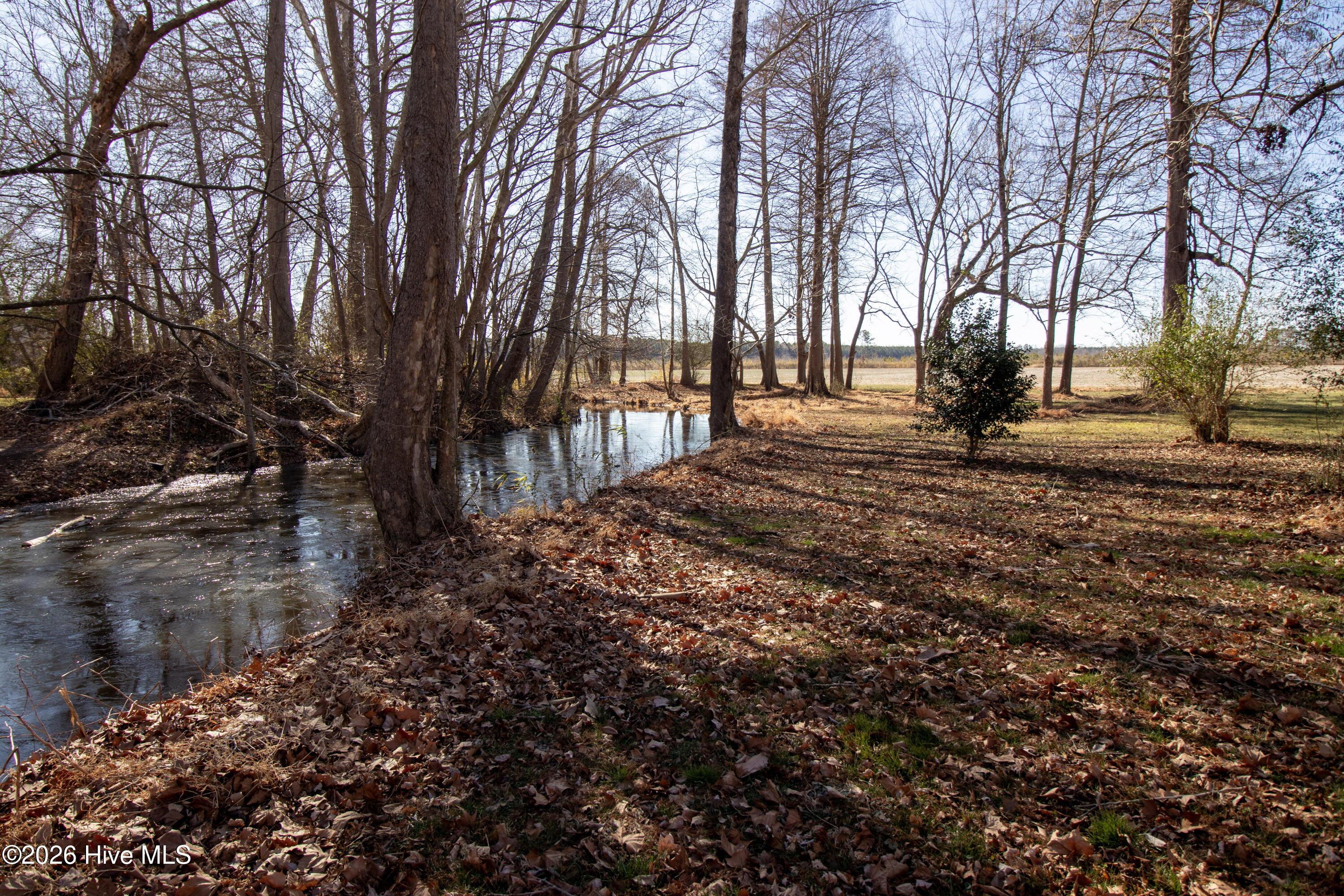 1426 E Bear Swamp Road, Hertford, NC, 27944