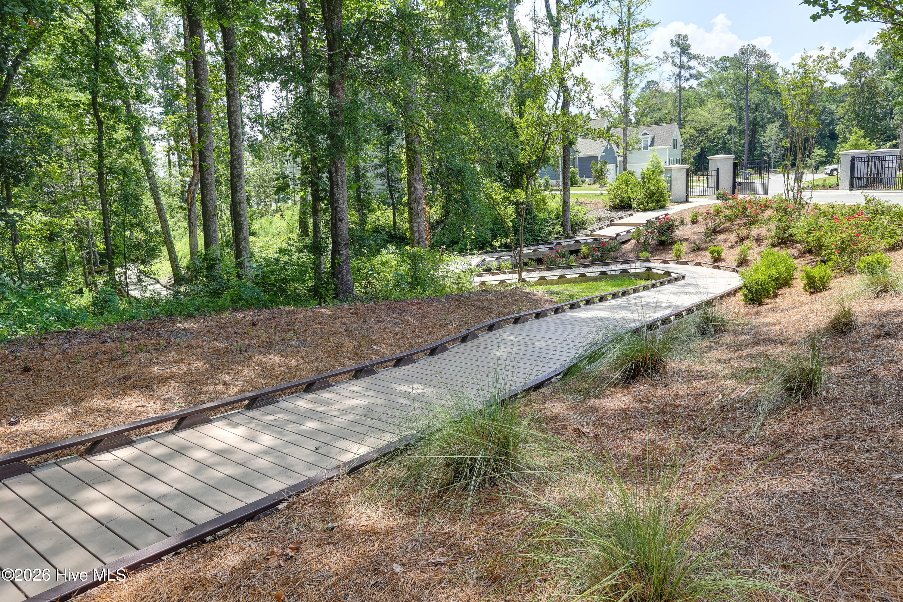 100563729 | Photo 82