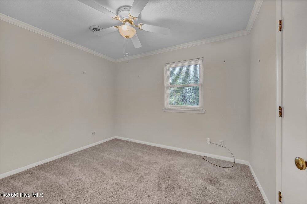 100564044 | Photo 19