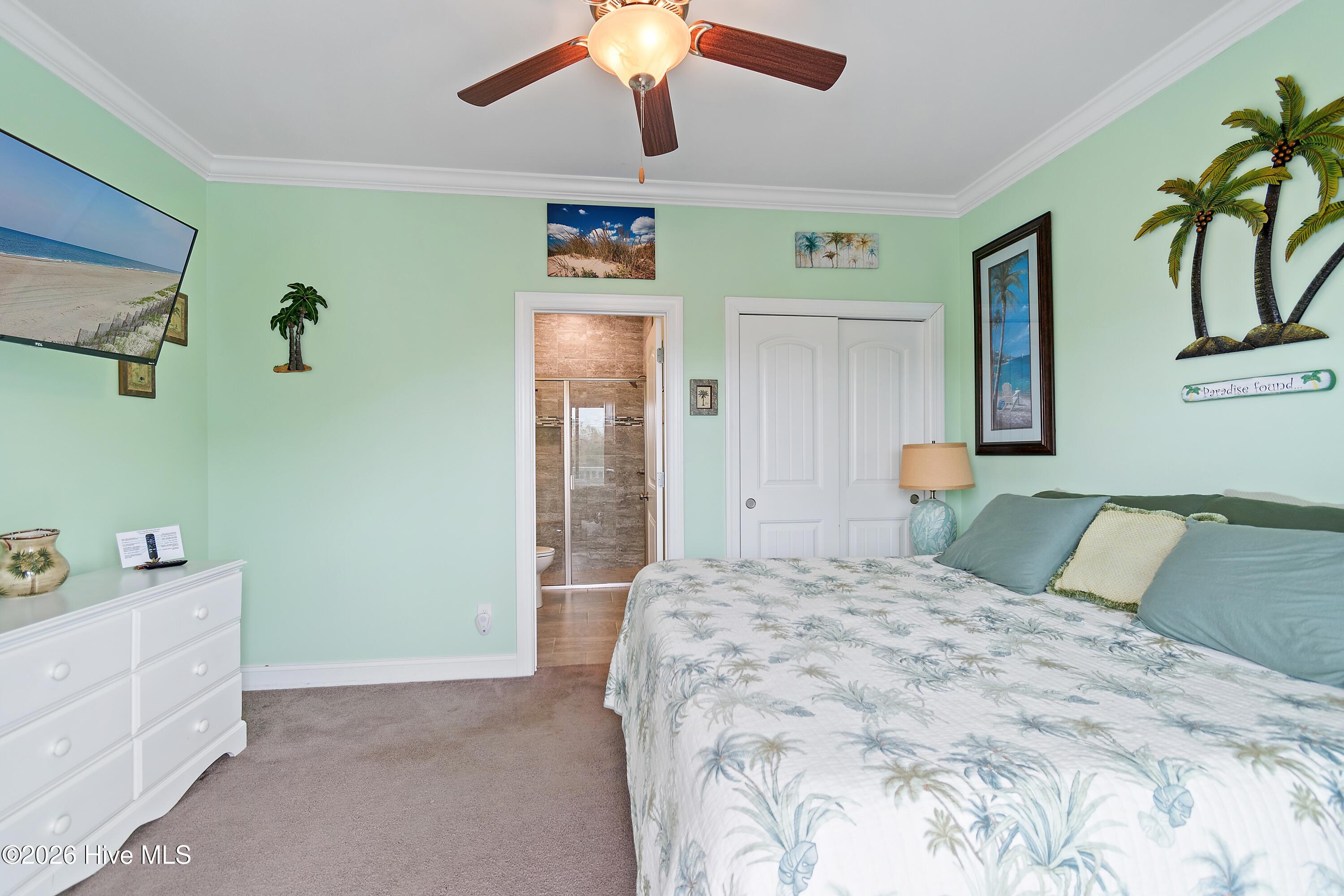 100555702 | Photo 32