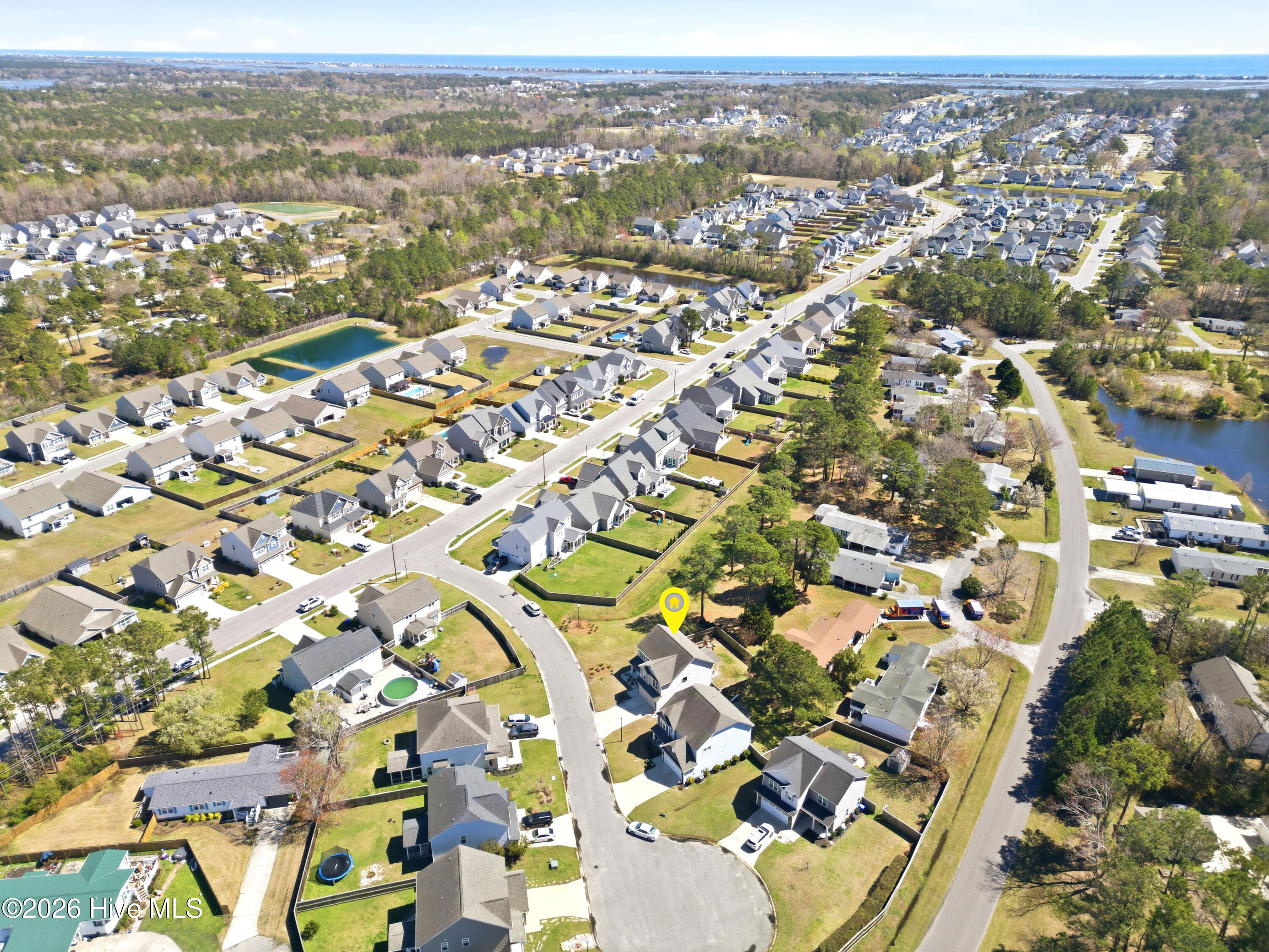 100561157 | Photo 59