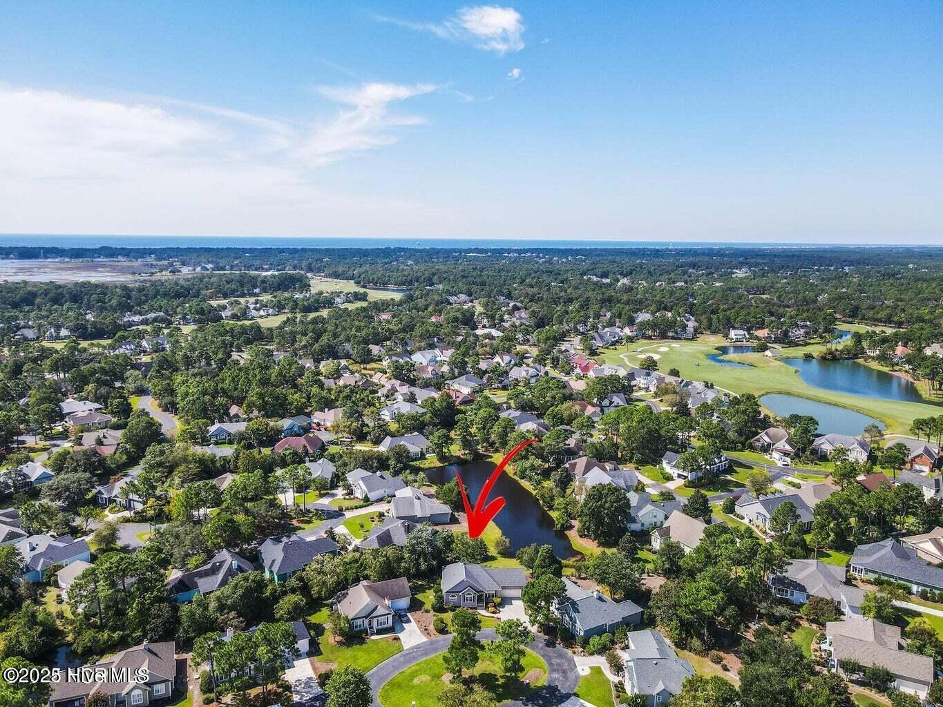 100561885 | Photo 99