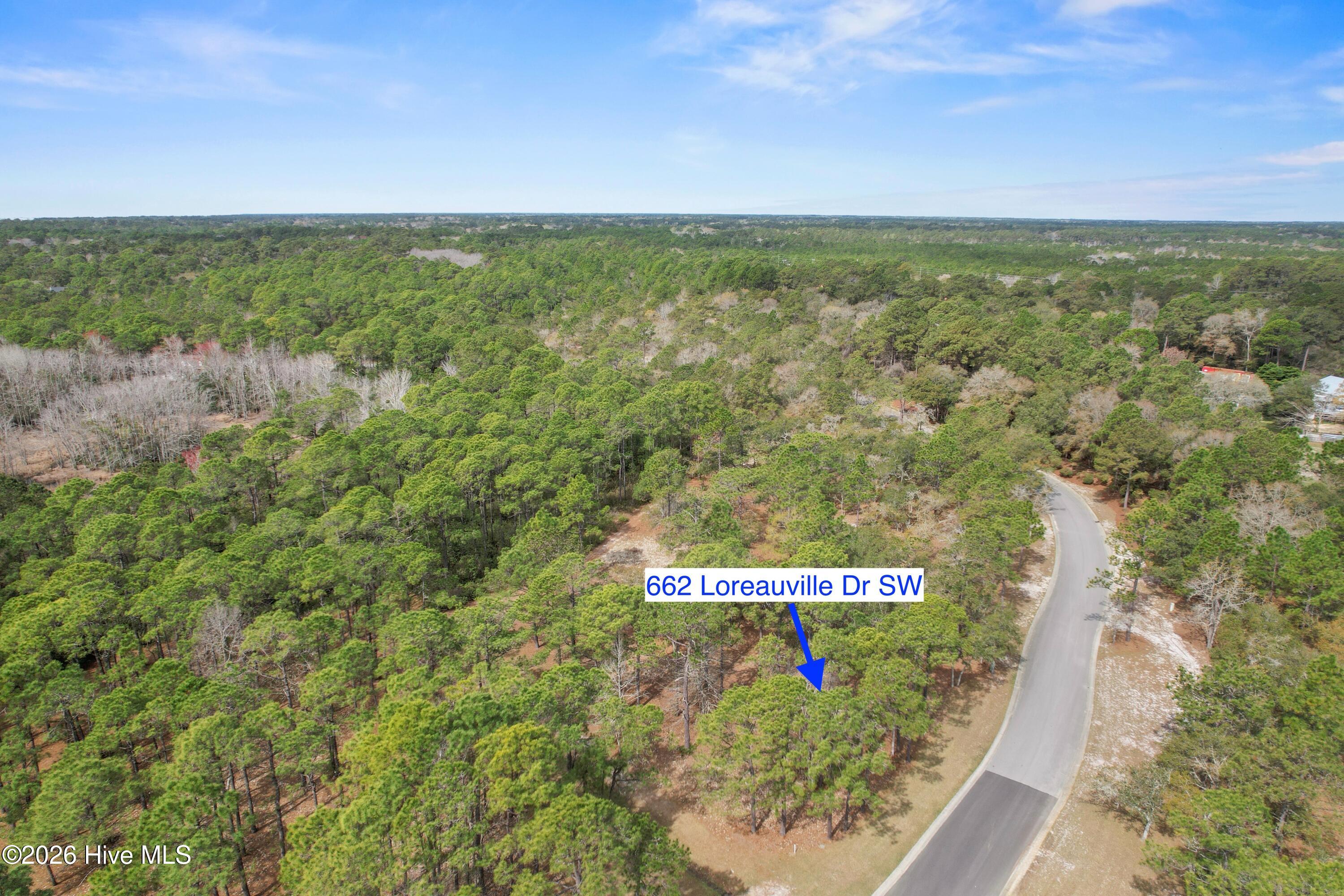 100562850 | Photo 10