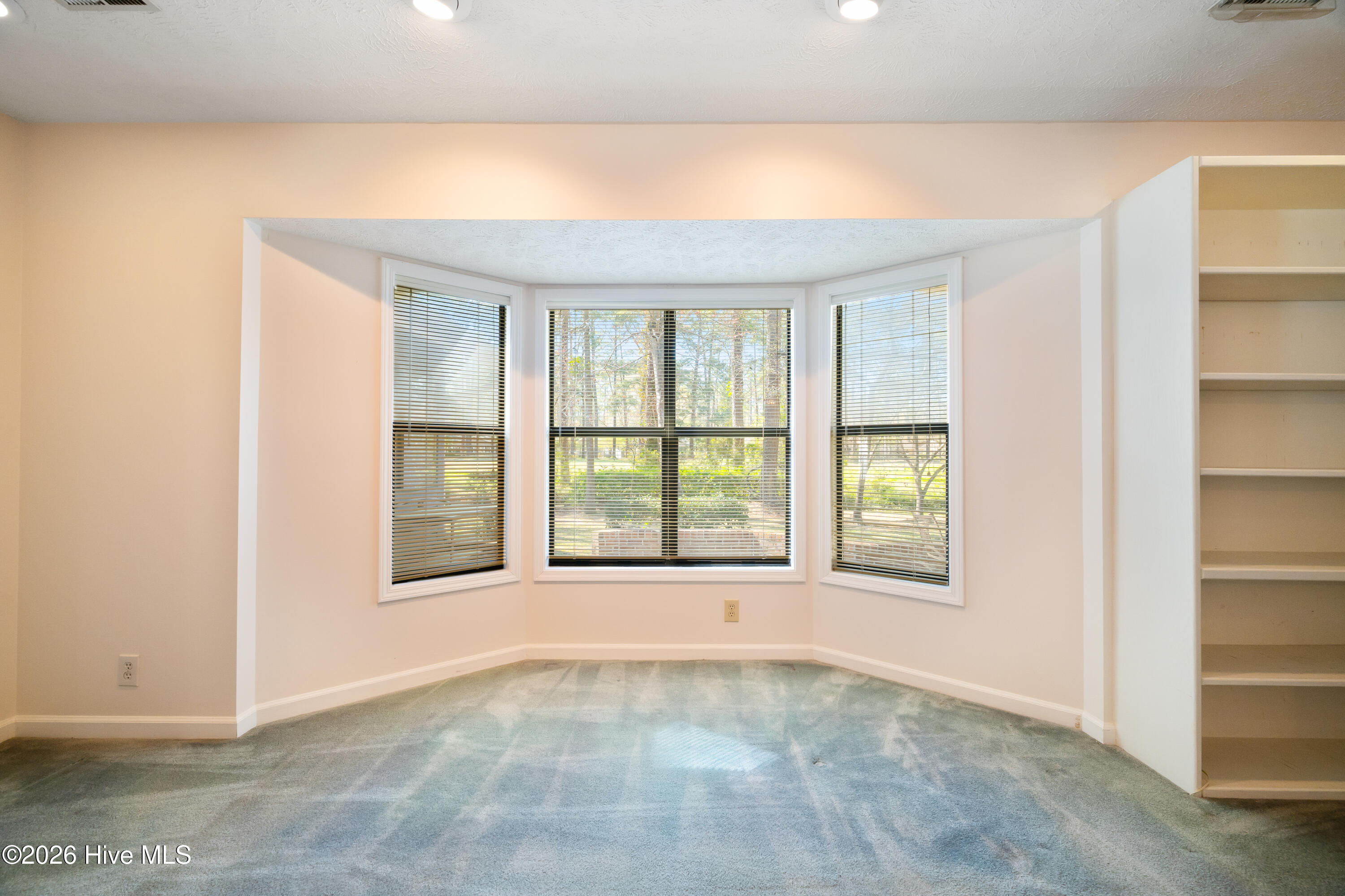 100563412 | Photo 21