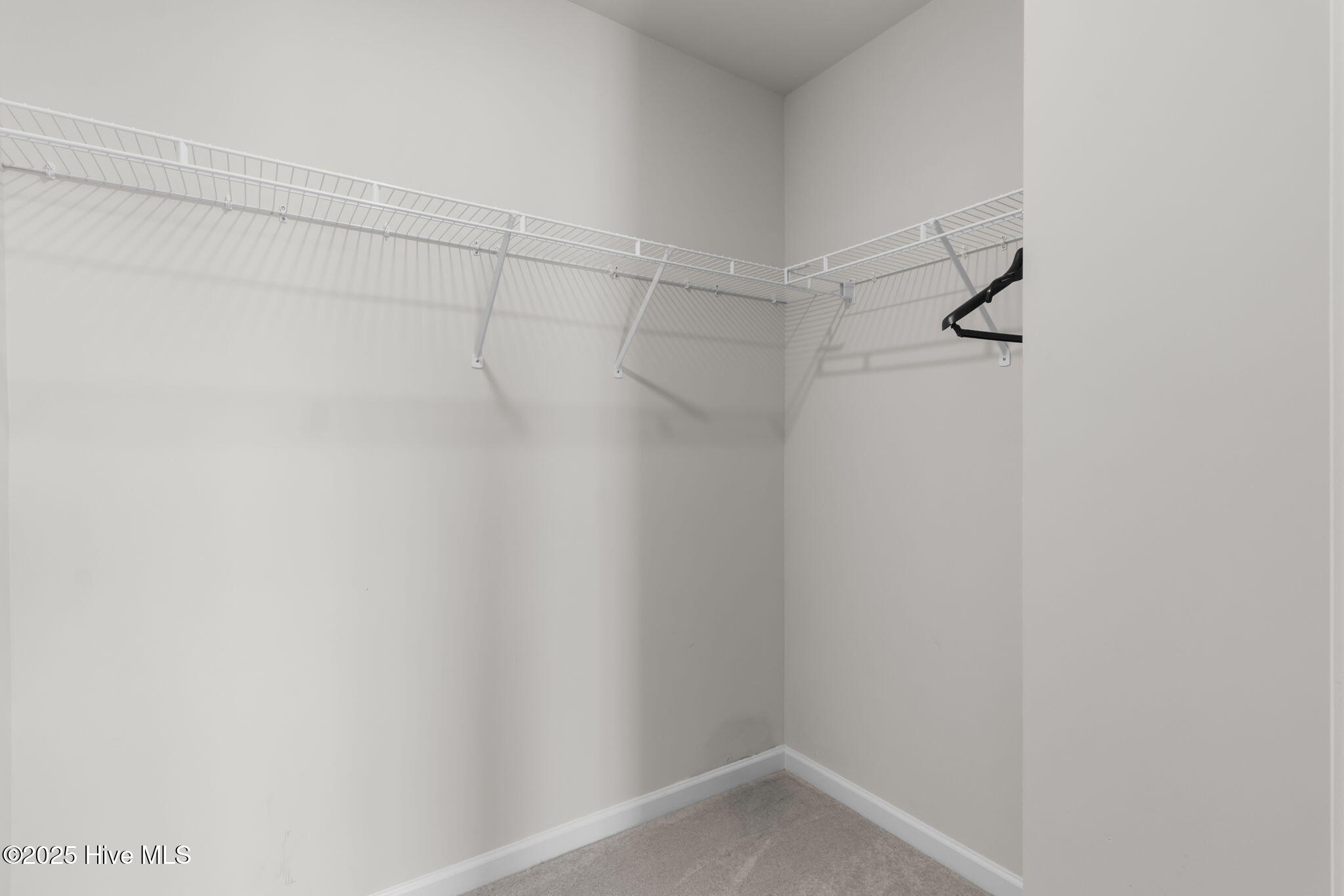 100538168 | Photo 40