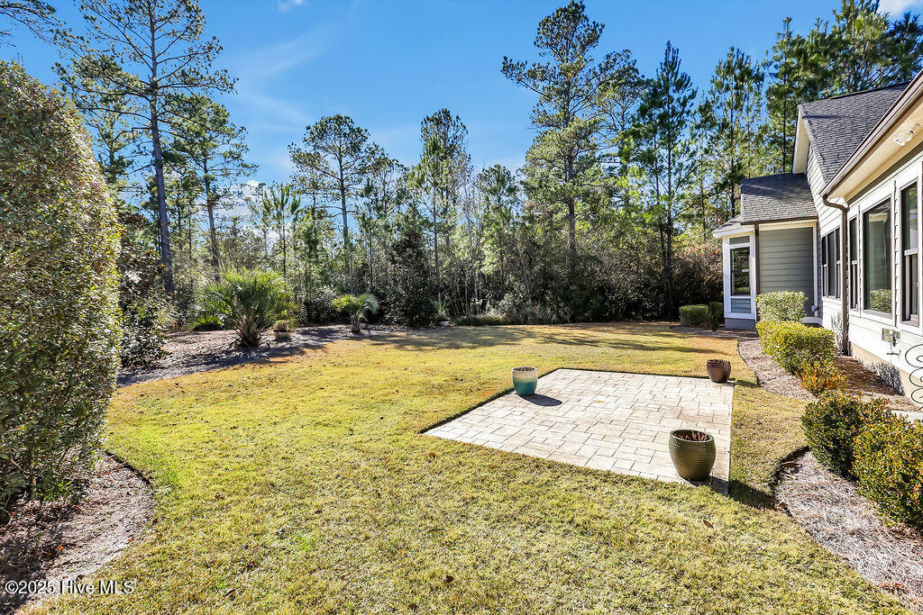 100545215 | Photo 43