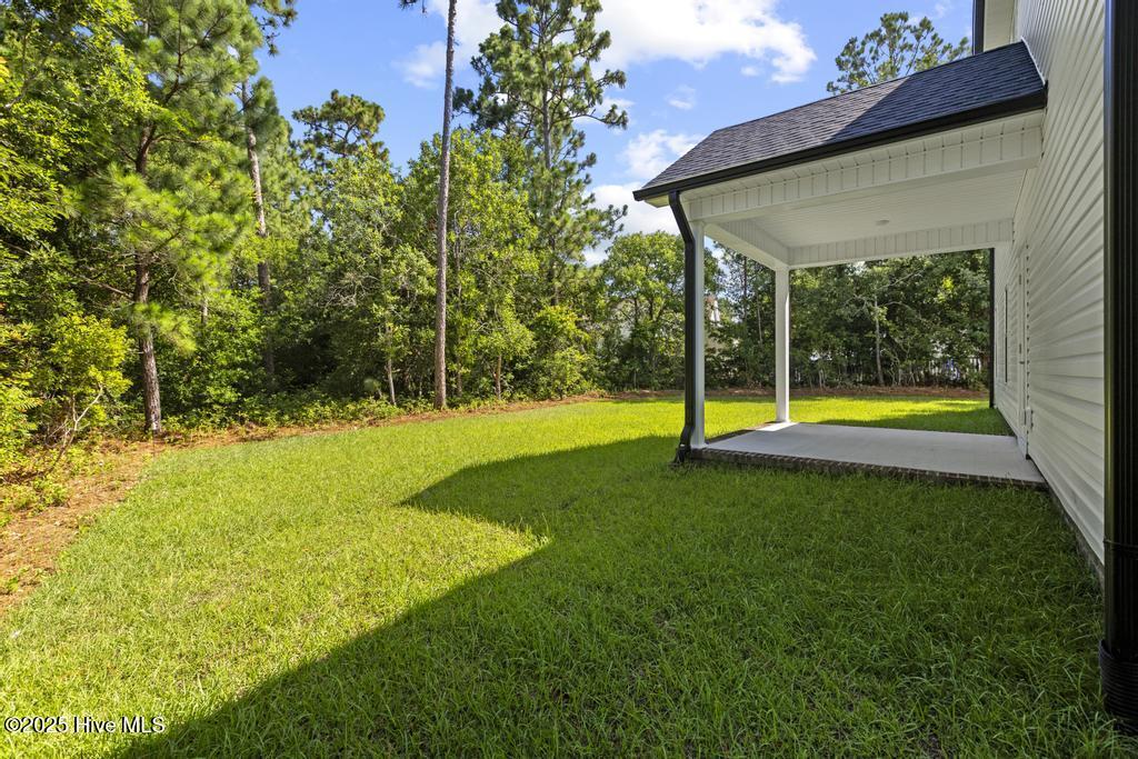 100553822 | Photo 78