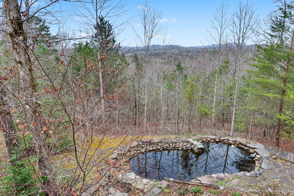 368 Sierra Springs Drive, Murphy, NC 28906 Listing Photo  30