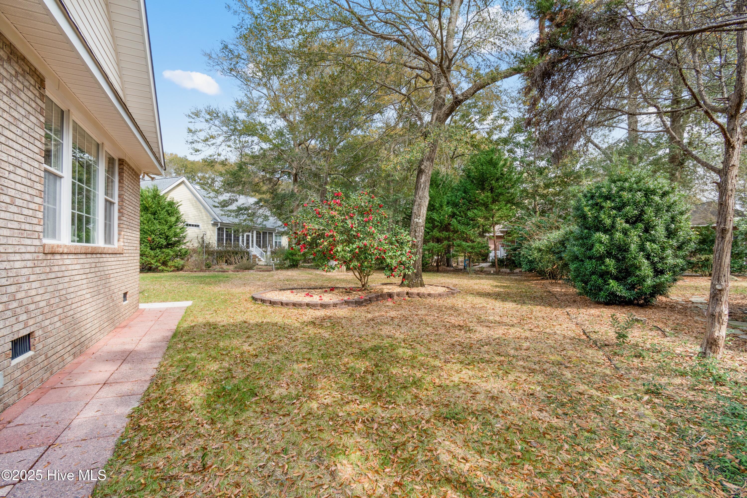 100556146 | Photo 41