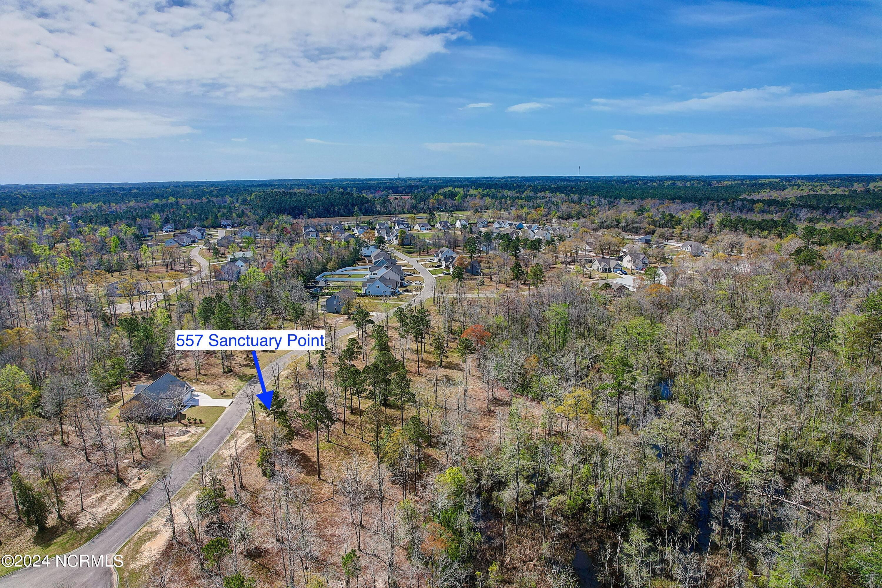 100495001 | Photo 21