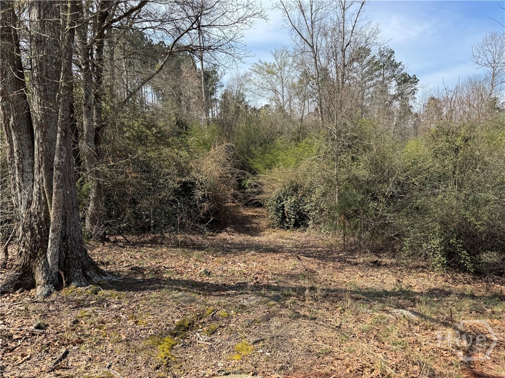 738 Old Mineral Springs Road, Elberton, GA, 30635