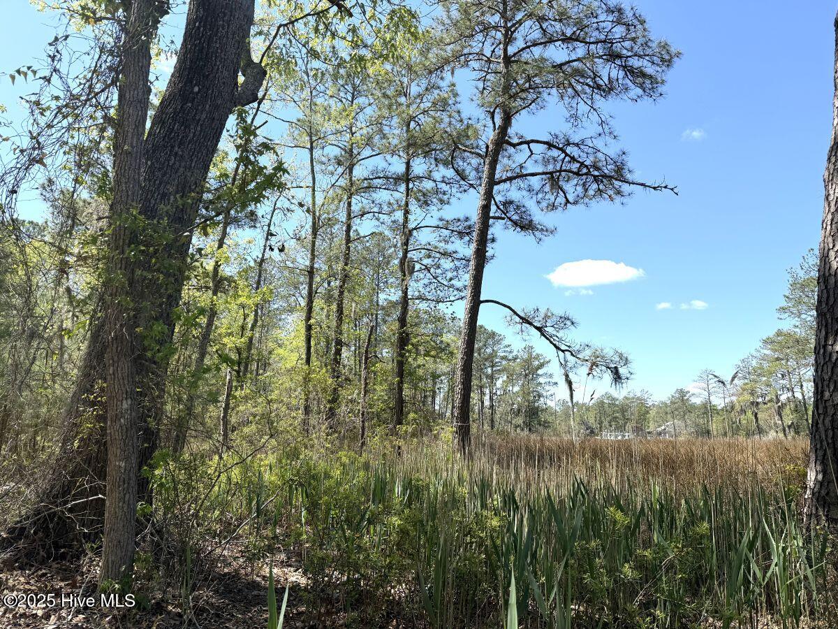 Lot 48 Sunset Point, Belhaven, NC, 27810