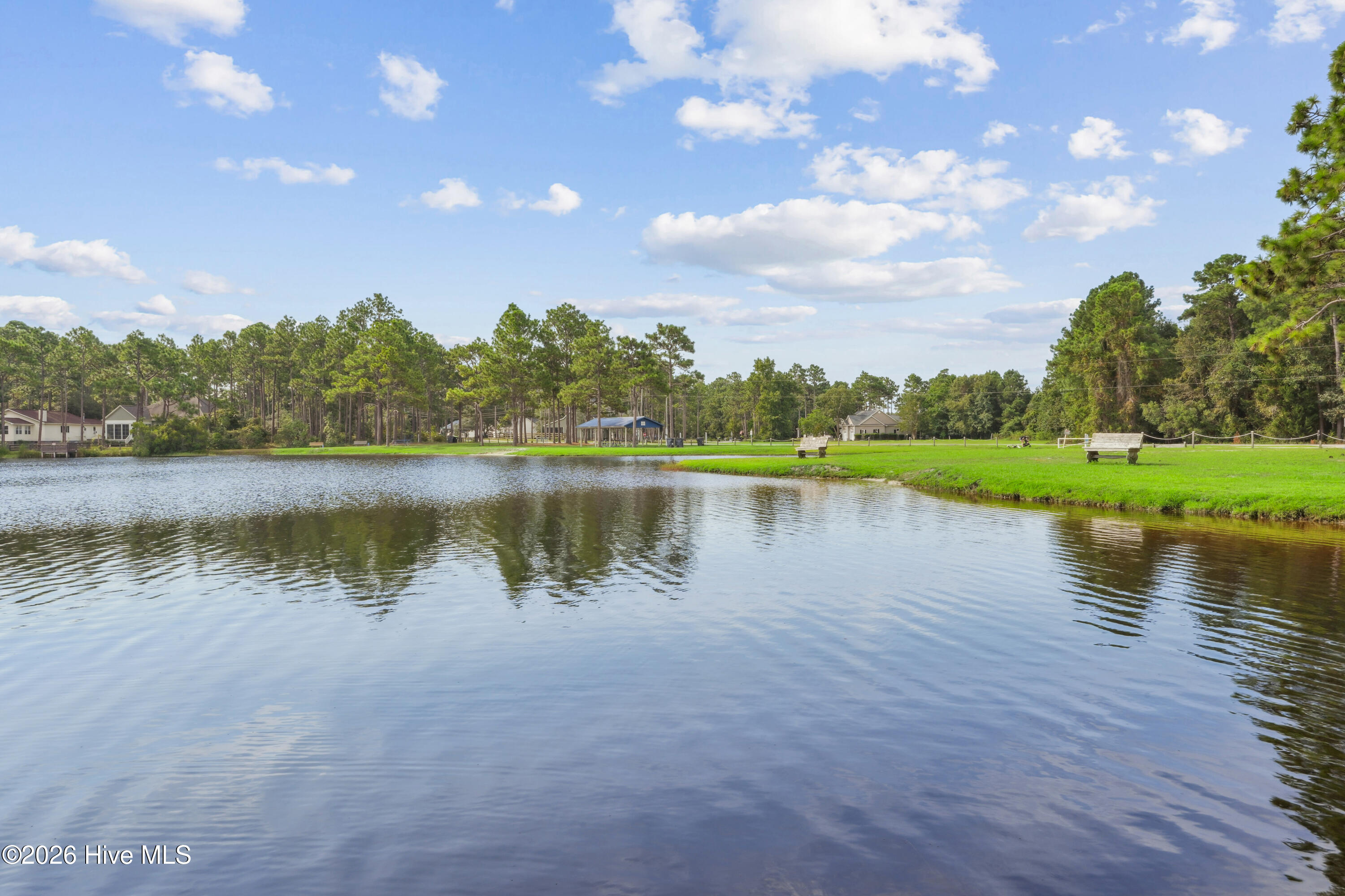 100522927 | Photo 12