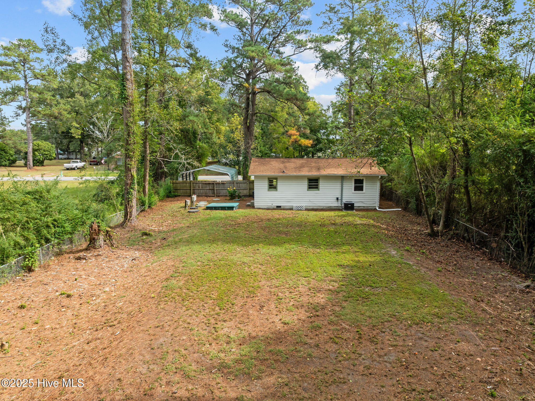 100536002 | Photo 46