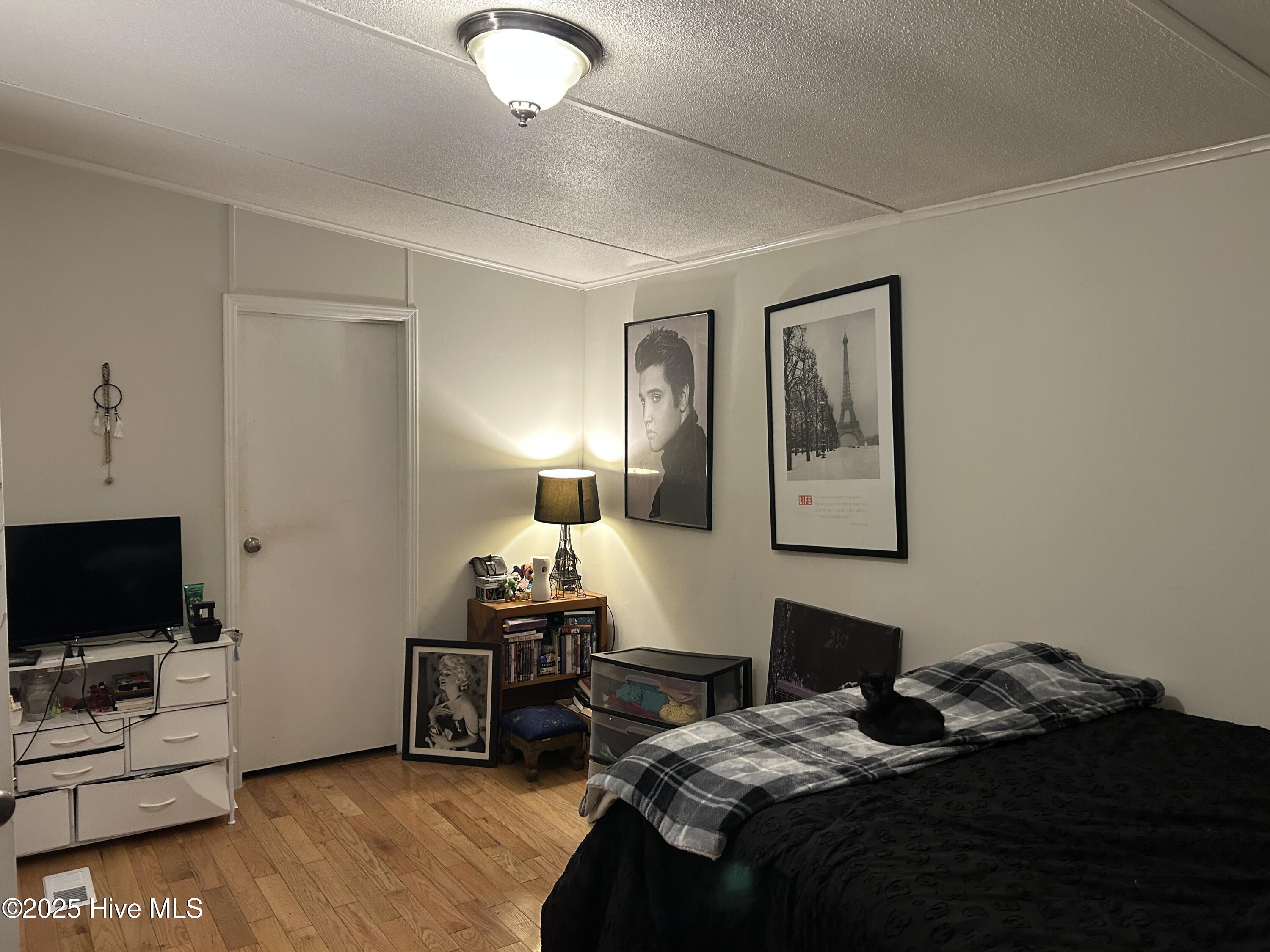 100533722 | Photo 11