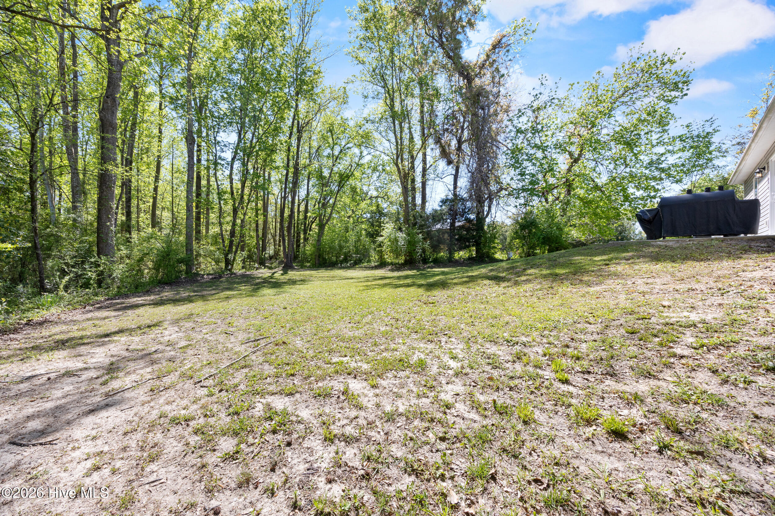 100566907 | Photo 35