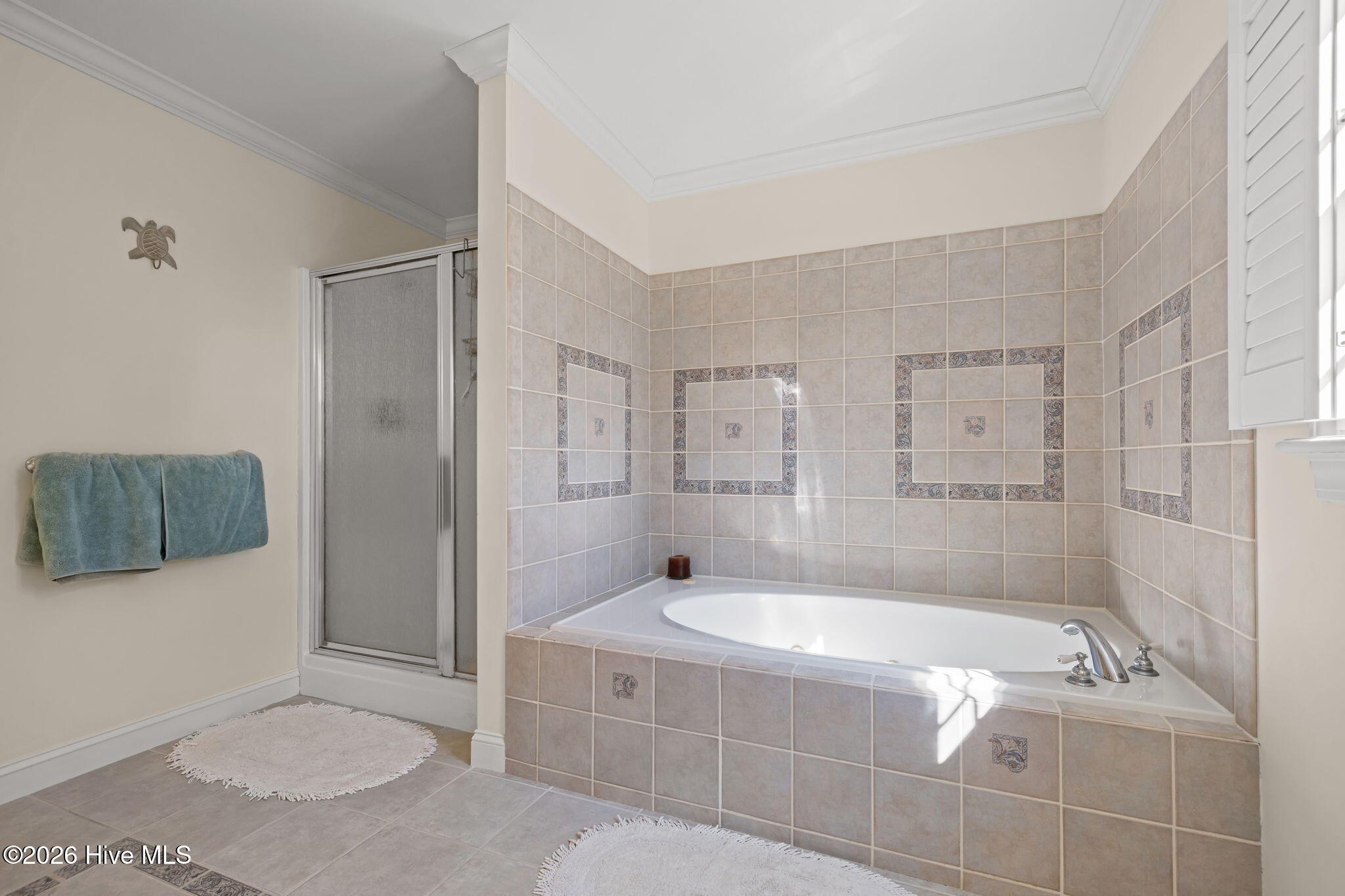 100556674 | Photo 33