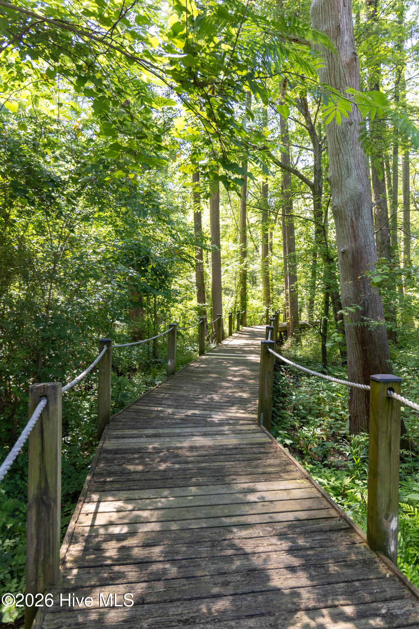 Walkway leading to boat dock