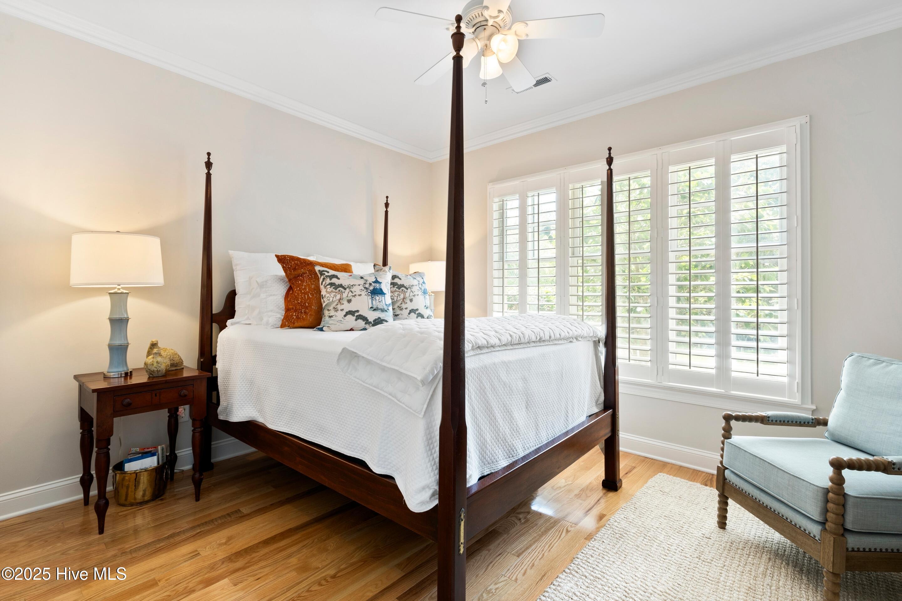 100520389 | Photo 47