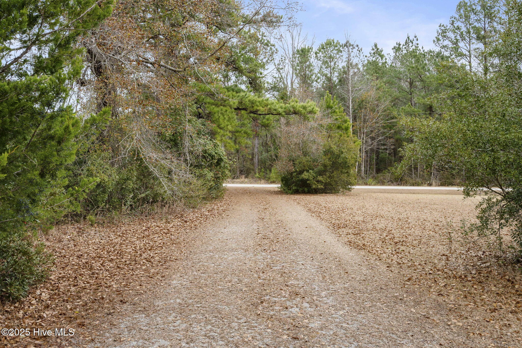 100546888 | Photo 23