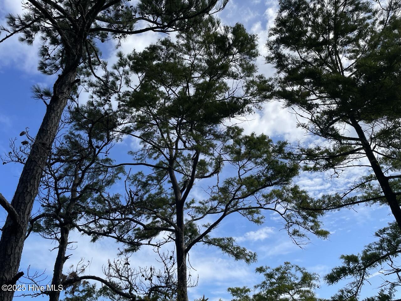 237 Garbacon Drive, Beaufort, NC, 28516