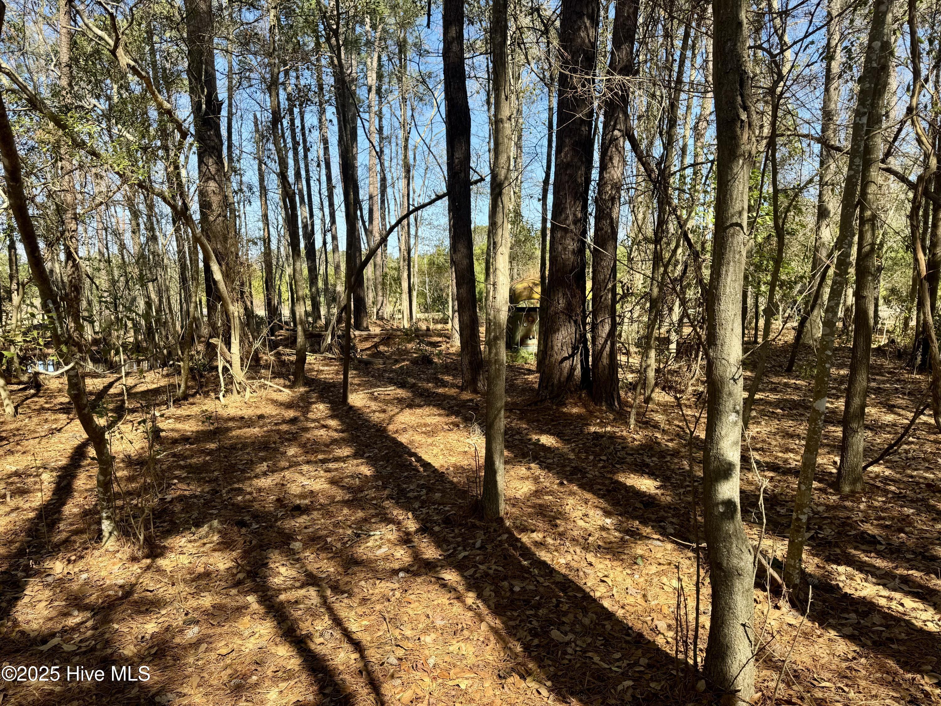 100490813 | Photo 23