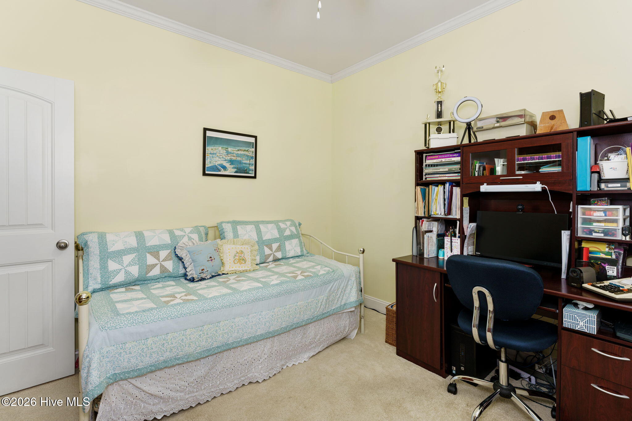 100564241 | Photo 31