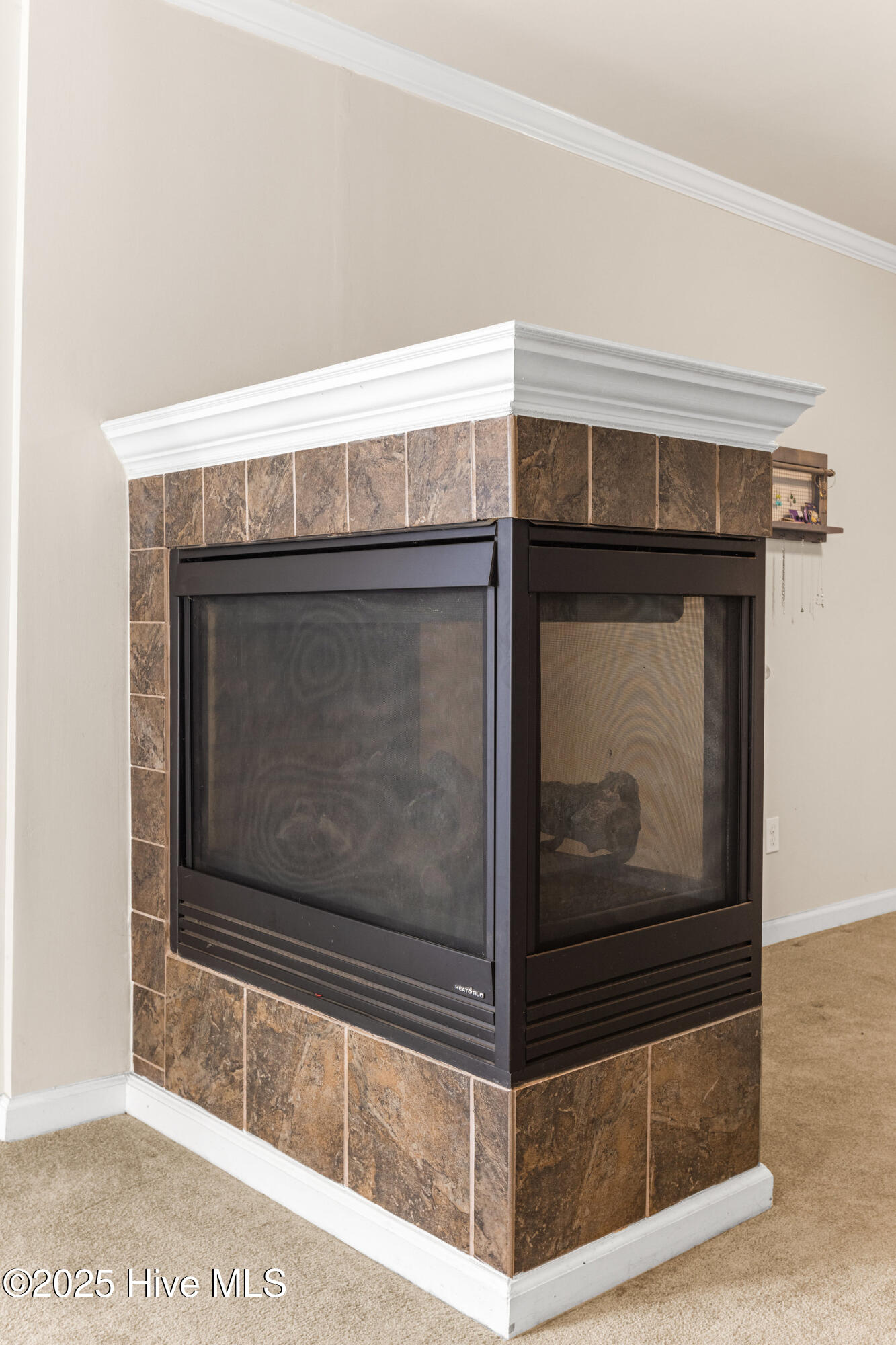 100542289 | Photo 32