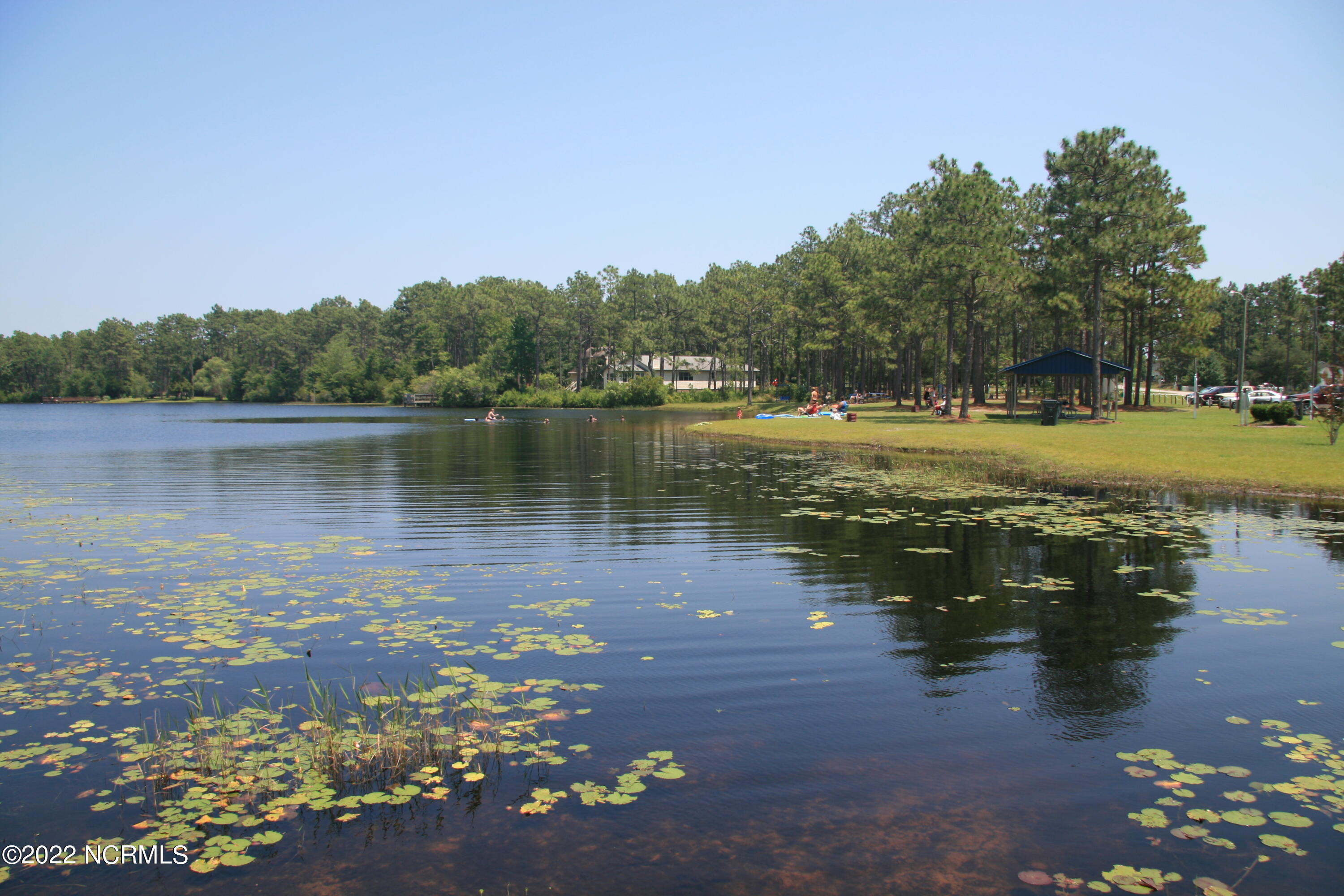 100524541 | Photo 38