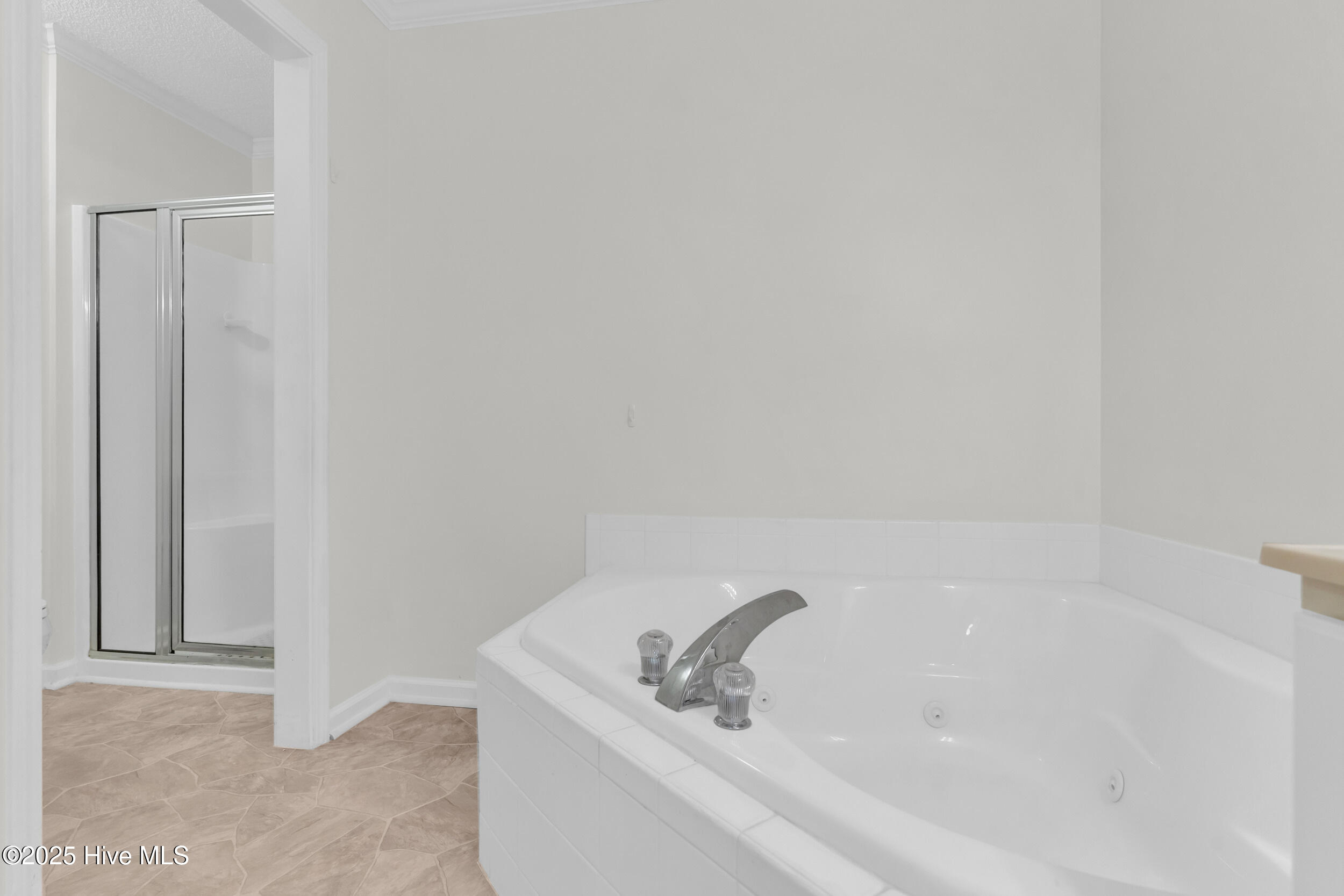 100539370 | Photo 17