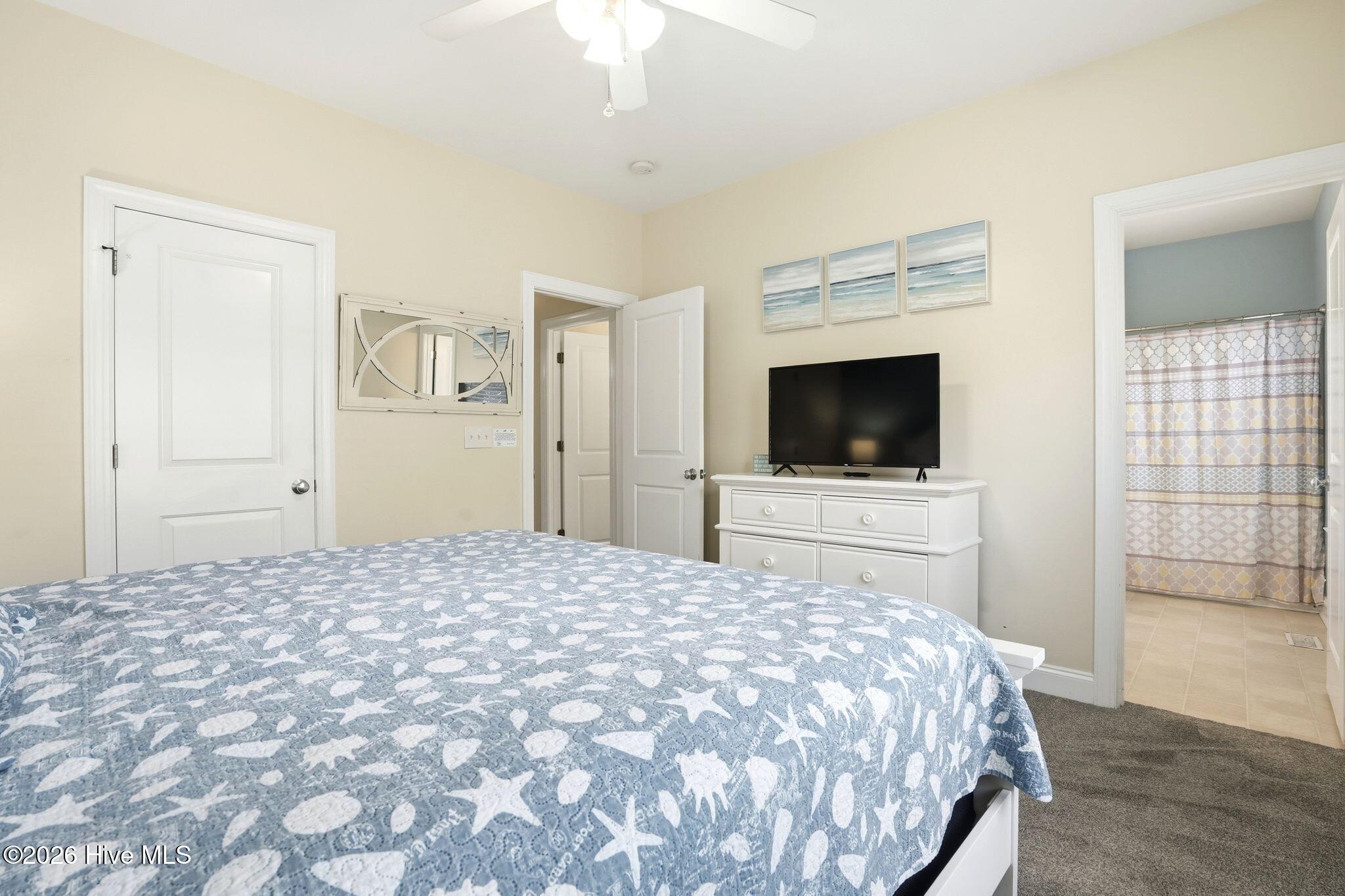 100561242 | Photo 20