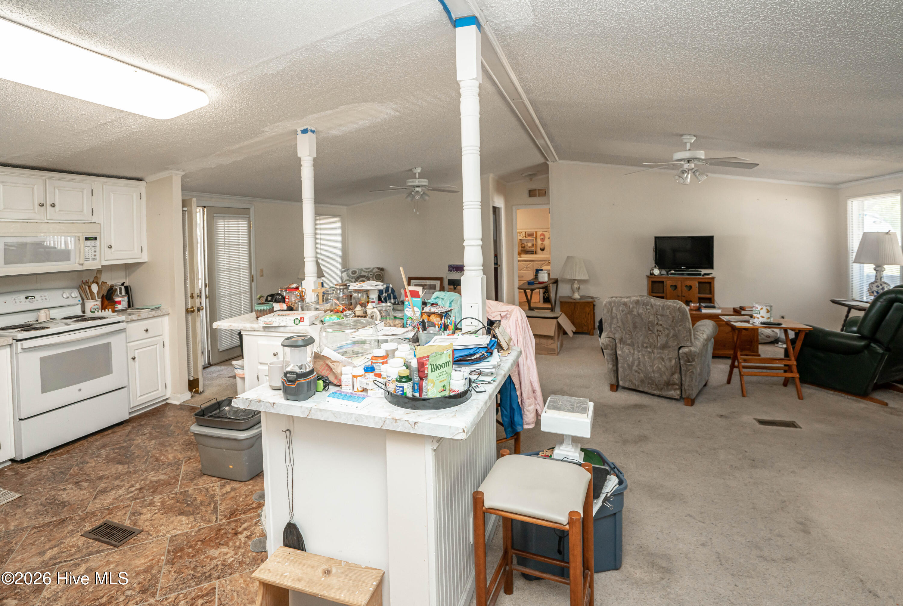 100567070 | Photo 13