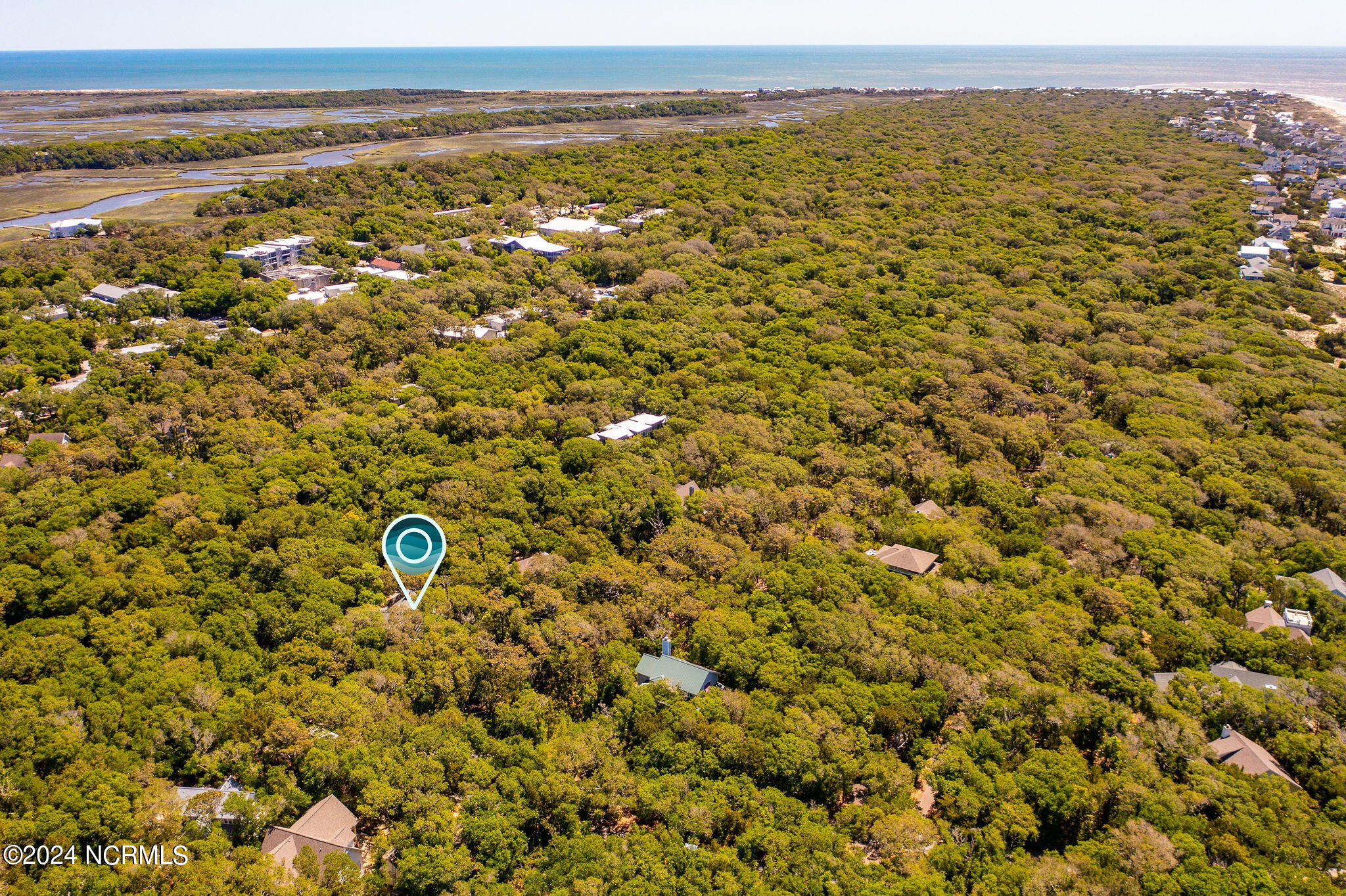 100493590 | Photo 56