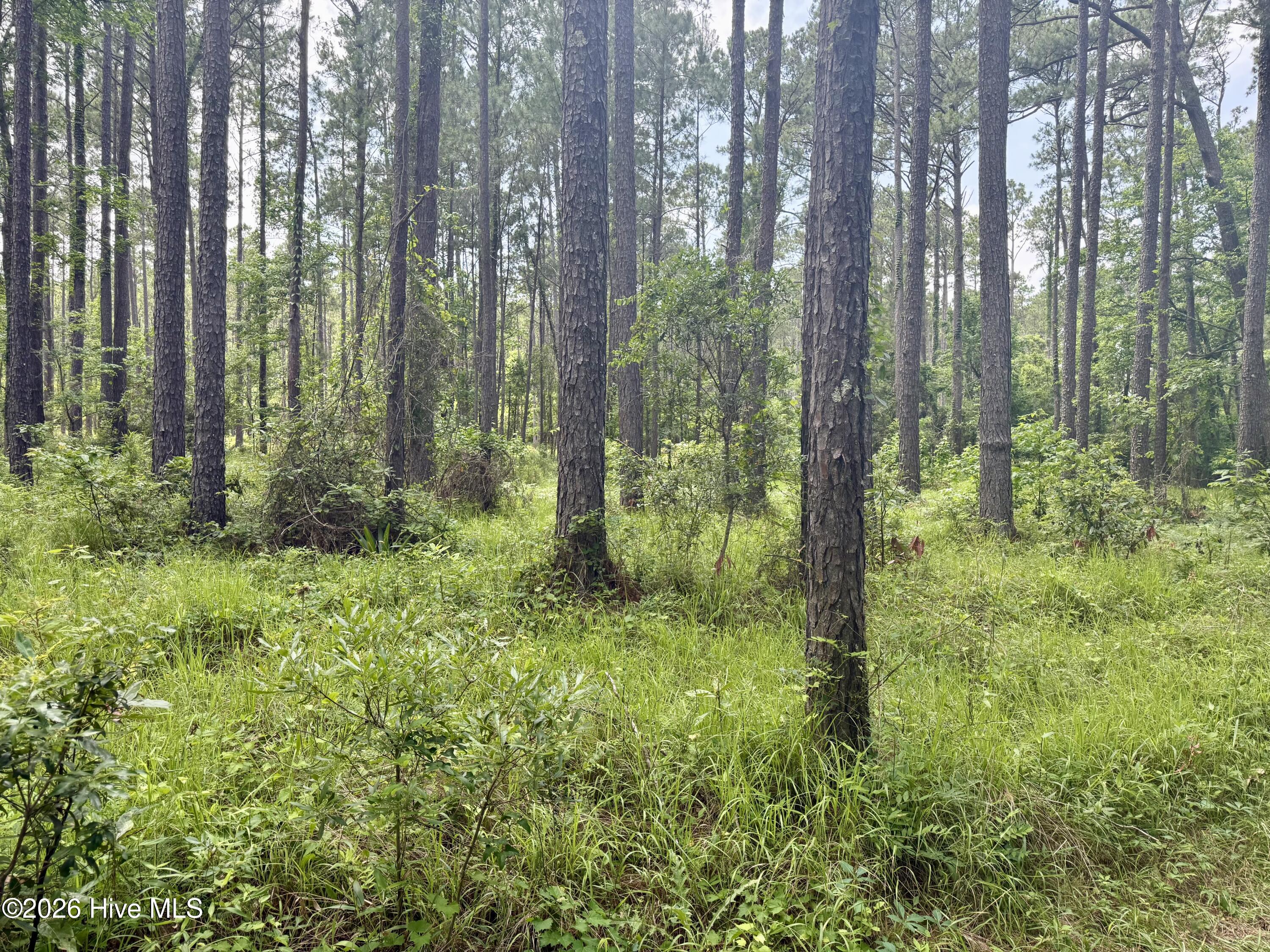 558 Sandy Point 