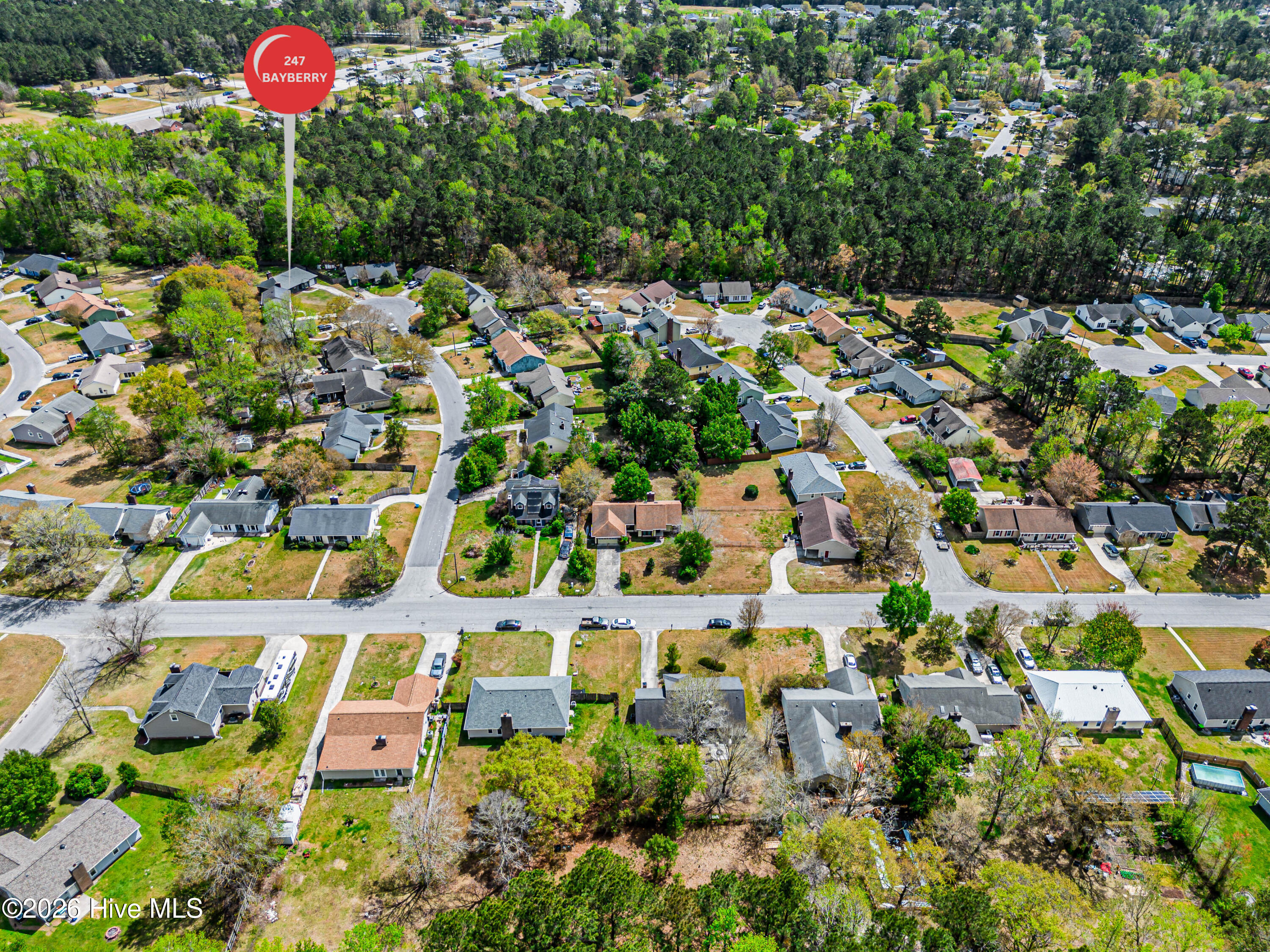 100569074 | Photo 74