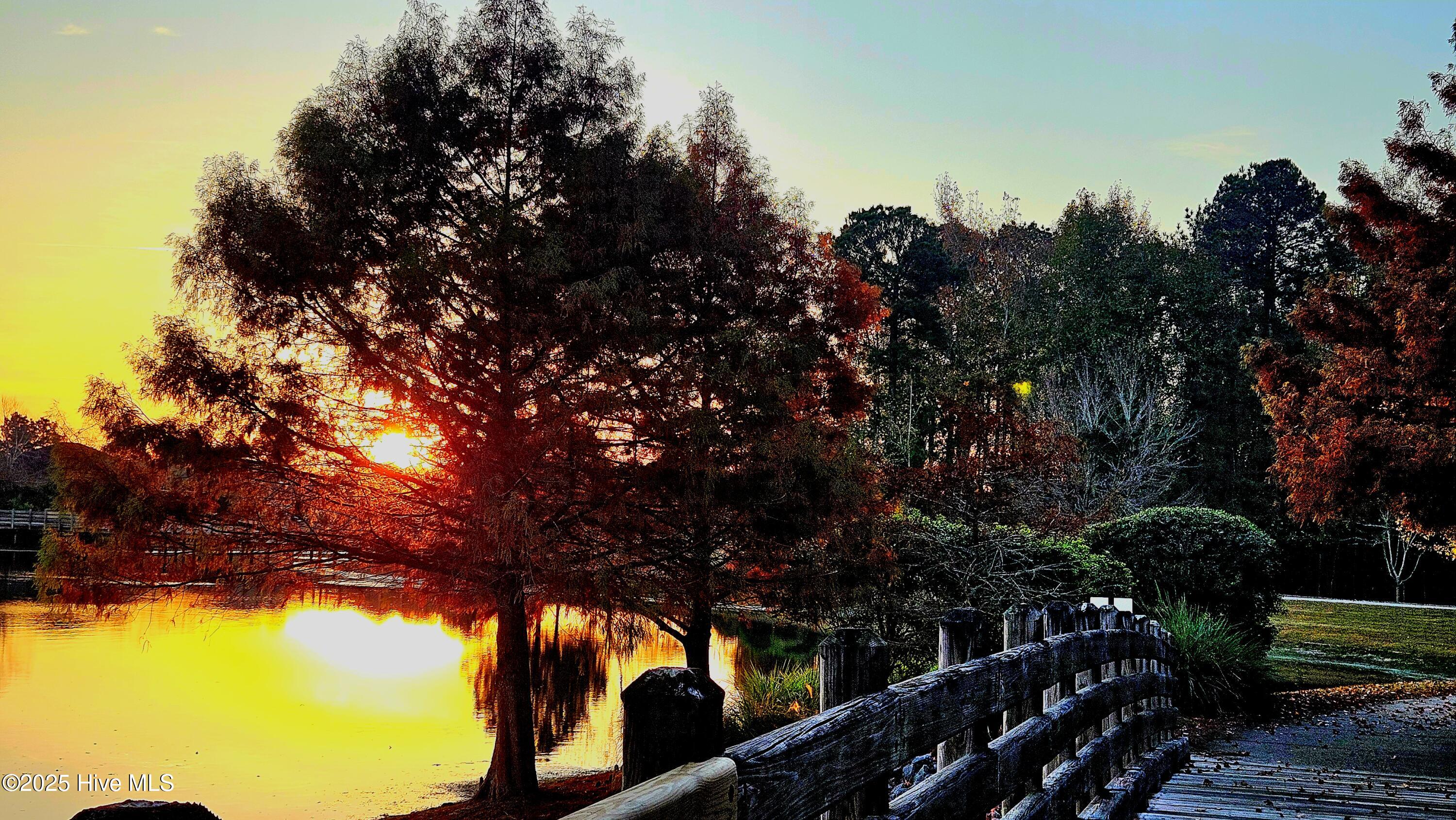 100545391 | Photo 52