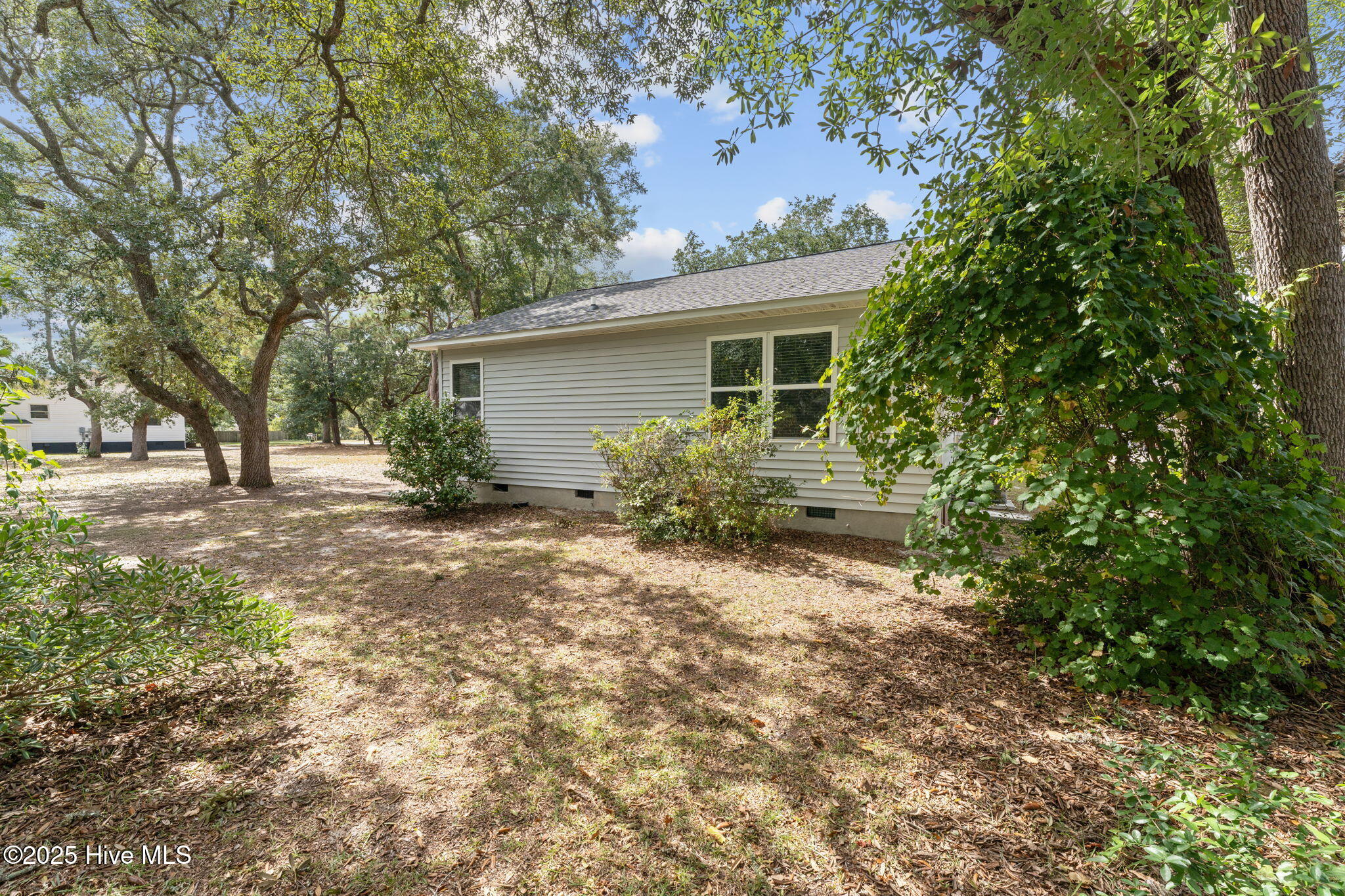 100531343 | Photo 34