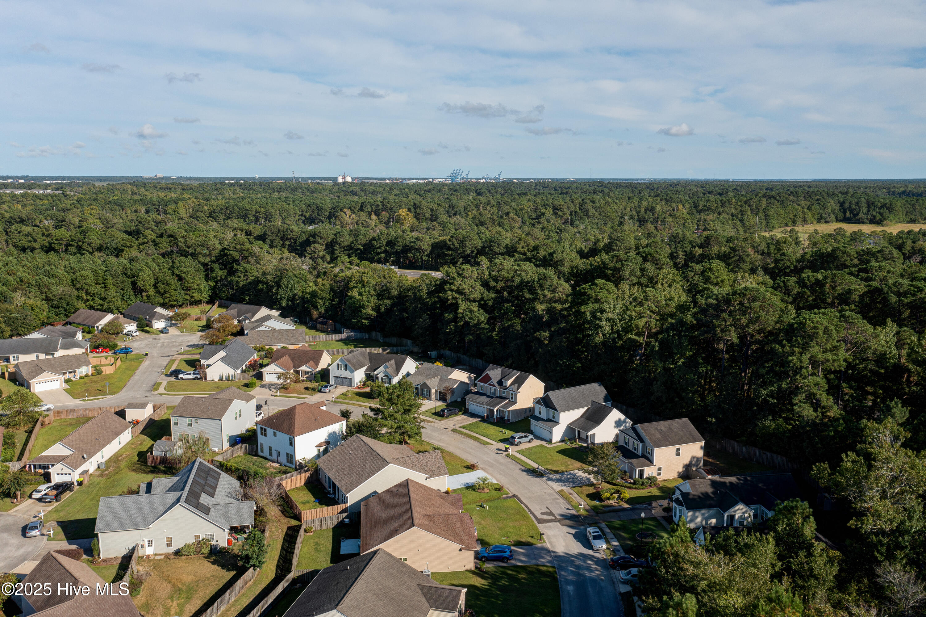 100530947 | Photo 50