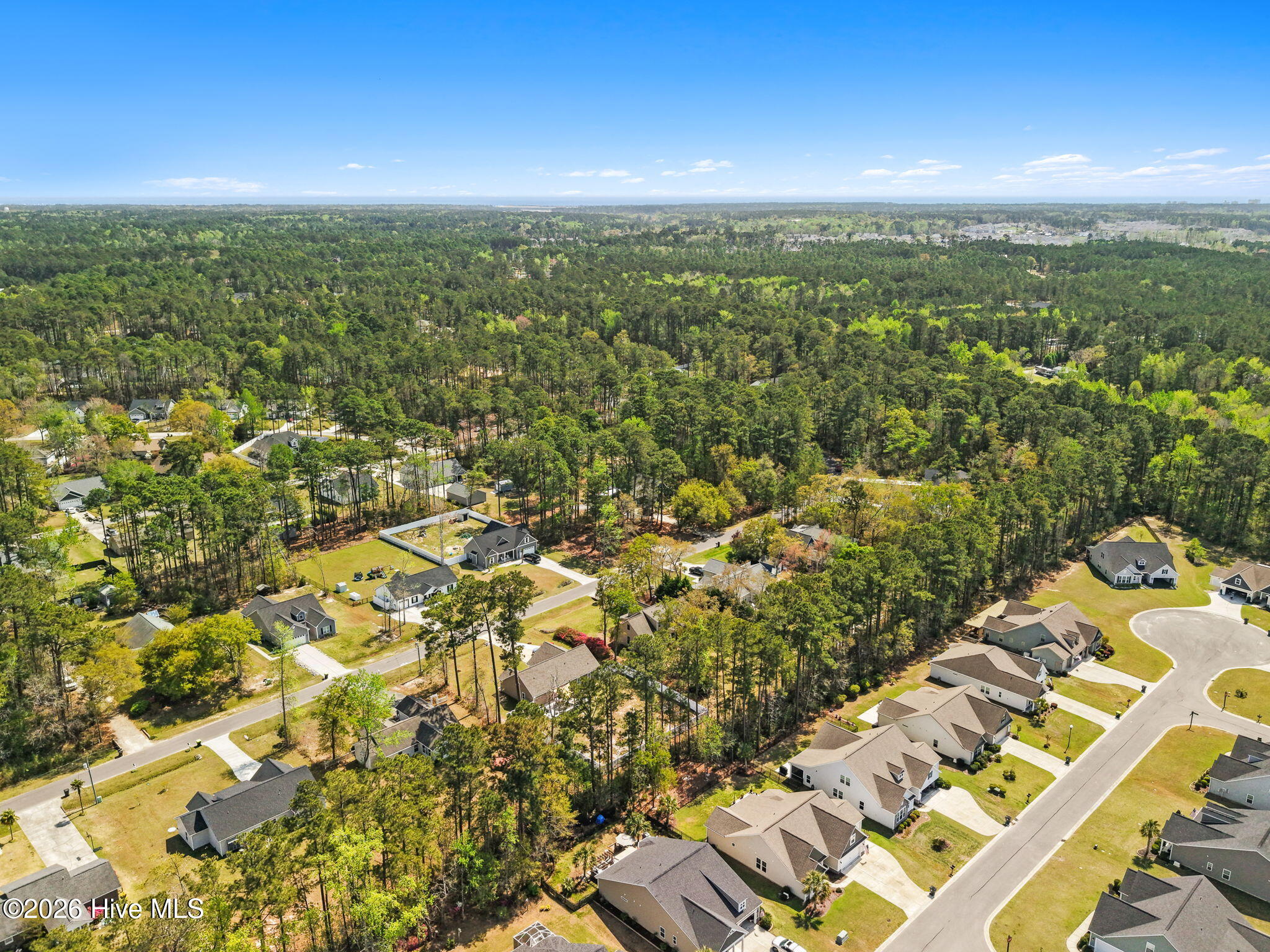 100564721 | Photo 68