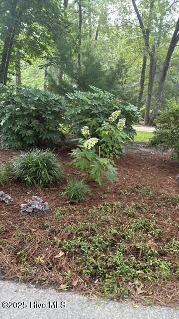 100538166 | Photo 49