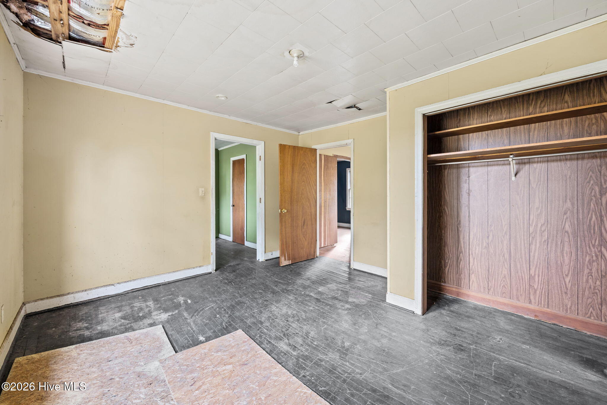 100565134 | Photo 29