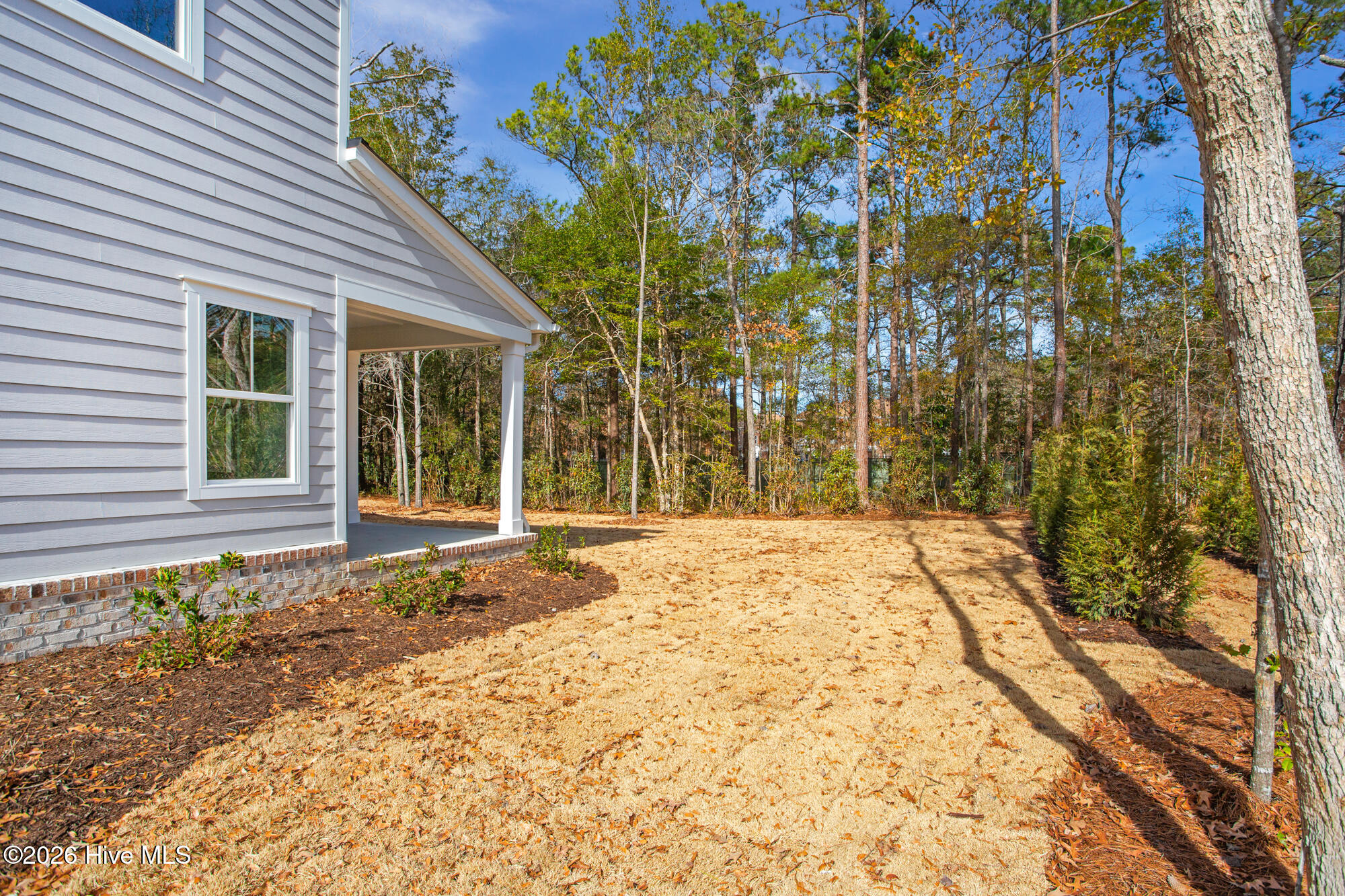 100559755 | Photo 33